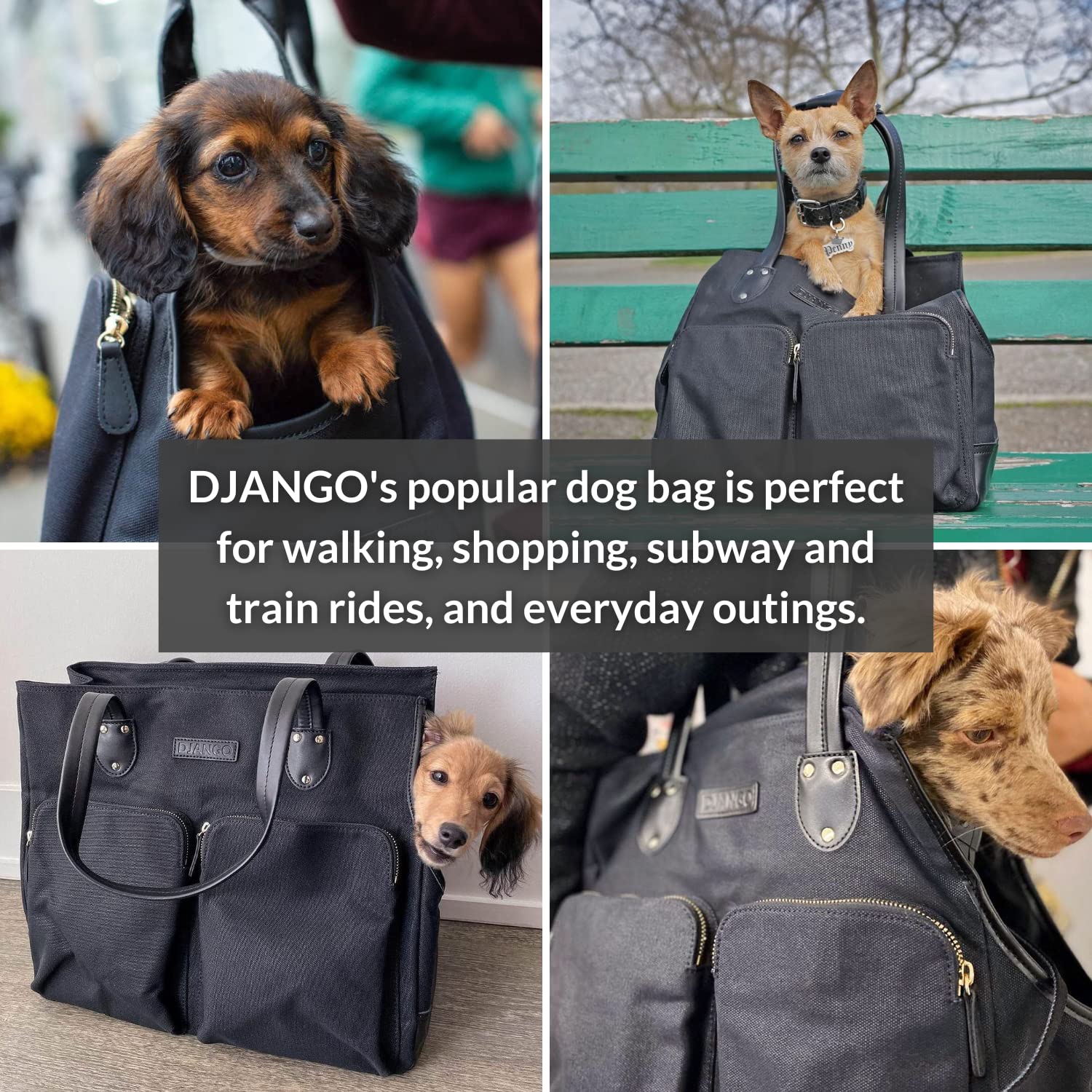 Premium Waxed Canvas & Leather Dog Carrier Bag - Medium Pet Travel Tote with Safety Harness Tether, Secure Zipper Pockets & Water-Resistant Lining - Ideal for Air Travel, Hiking & Daily Commutes with Small Dogs