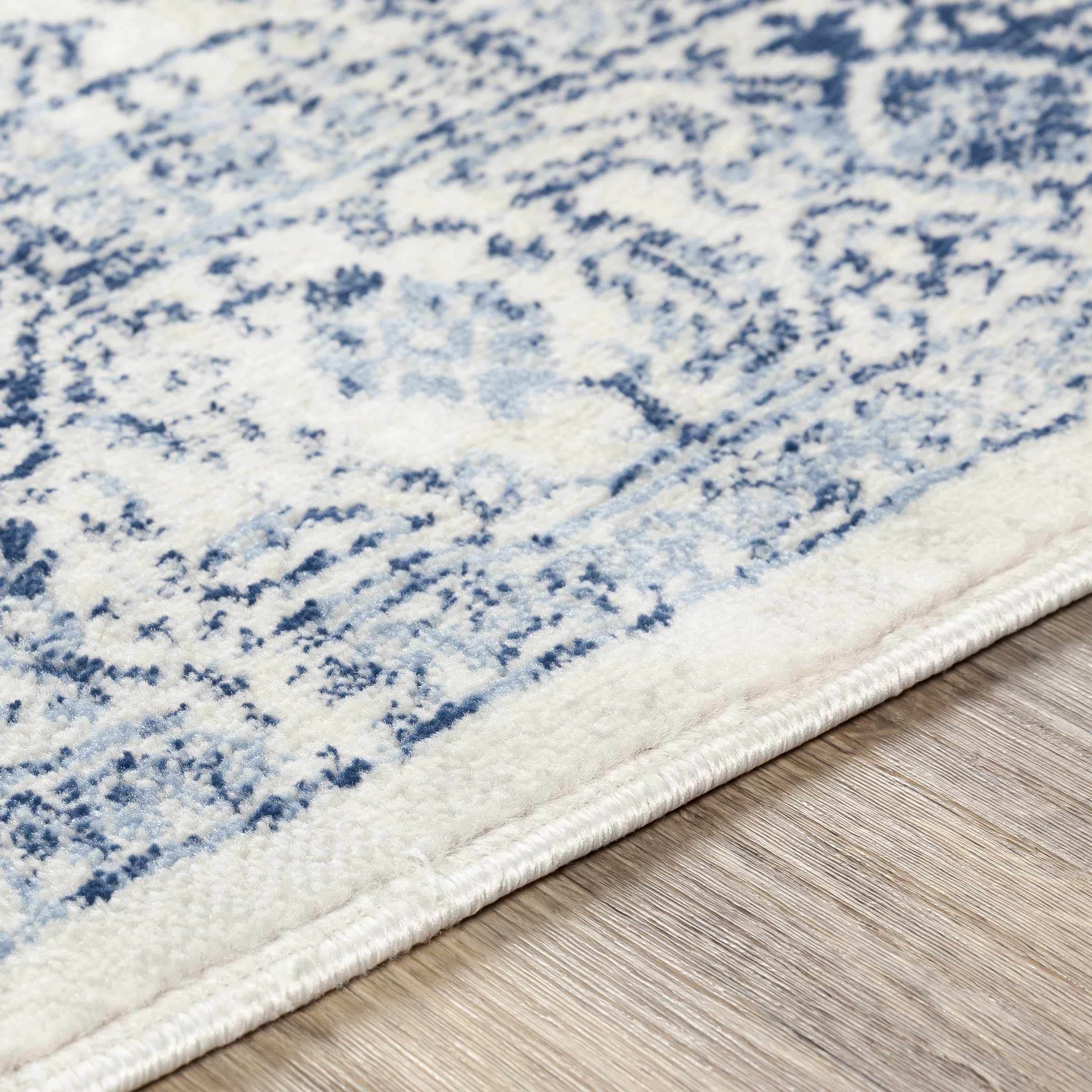 Hauteloom Pooraka Traditional Gray and Blue Area Rug 7'10