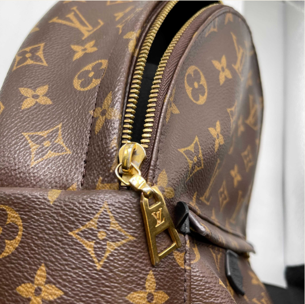 Authentic Louis Vuitton Monogram Canvas Palm Springs PM Backpack - Stylish Brown Designer Bag for Women, Perfect for Travel, Work & Everyday Use