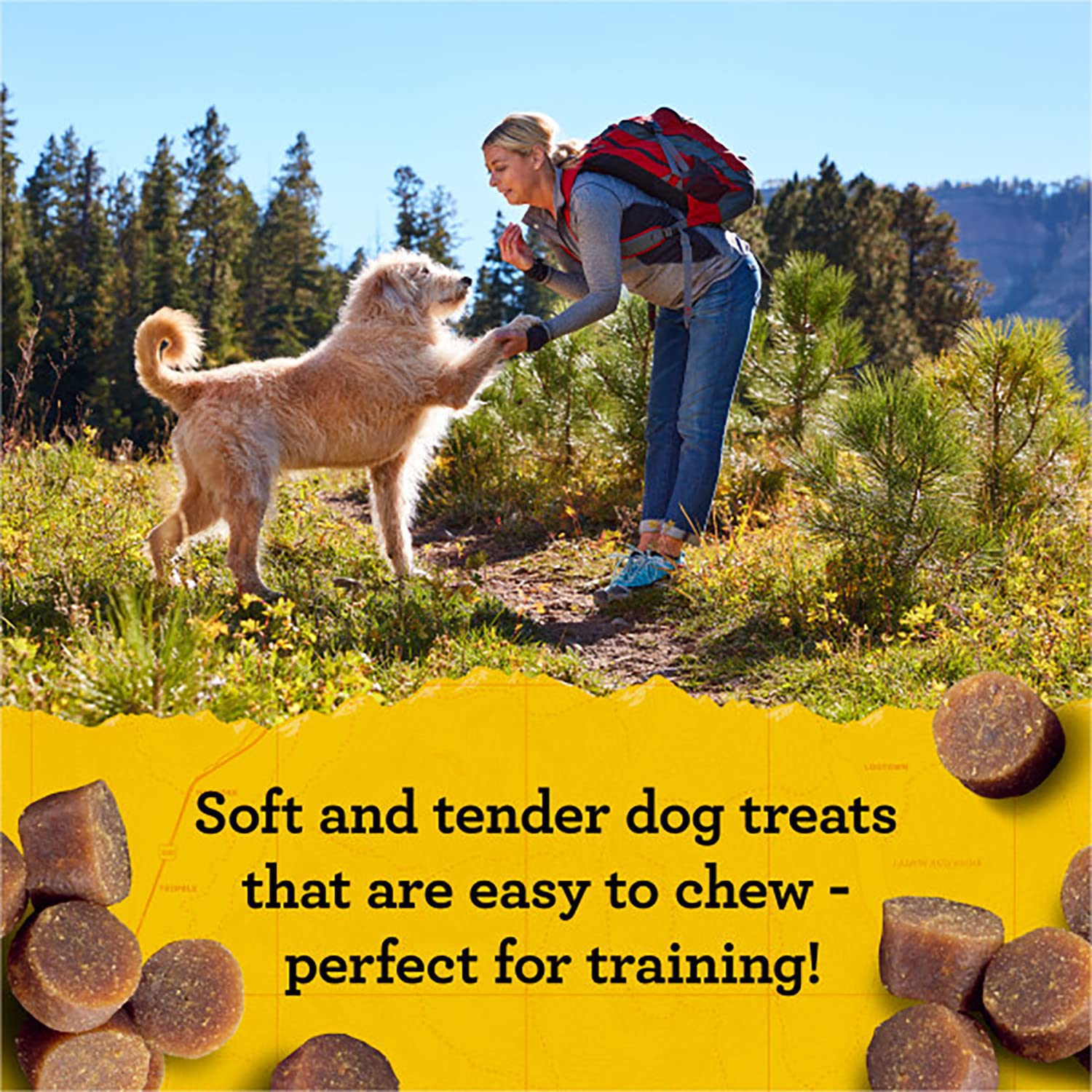 Zuke's Mini Naturals Dog Training Treats - Chicken Recipe, Soft & Tender Bite-Sized Treats with Vitamins & Minerals for Small, Medium & Large Dogs - 6oz Bag (Pack of 3) - Perfect for Obedience Training, Reward Snacks & On-the-Go Treats