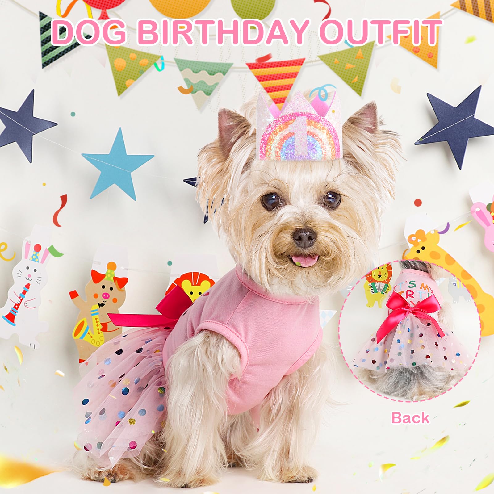 Dog Birthday Dress & Hat Set - Princess Party Outfit for Small Dogs & Puppies | X-Small Pet Clothes for Birthdays, Celebrations & Special Occasions