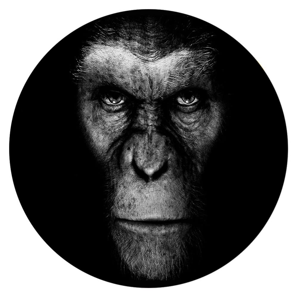300-Piece Round Wooden Jigsaw Puzzles - Animals Collection in Black & White, Educational & Stress Relief Toys for Adults & Kids, Perfect for Family Bonding, Classroom Activities & Home Decor