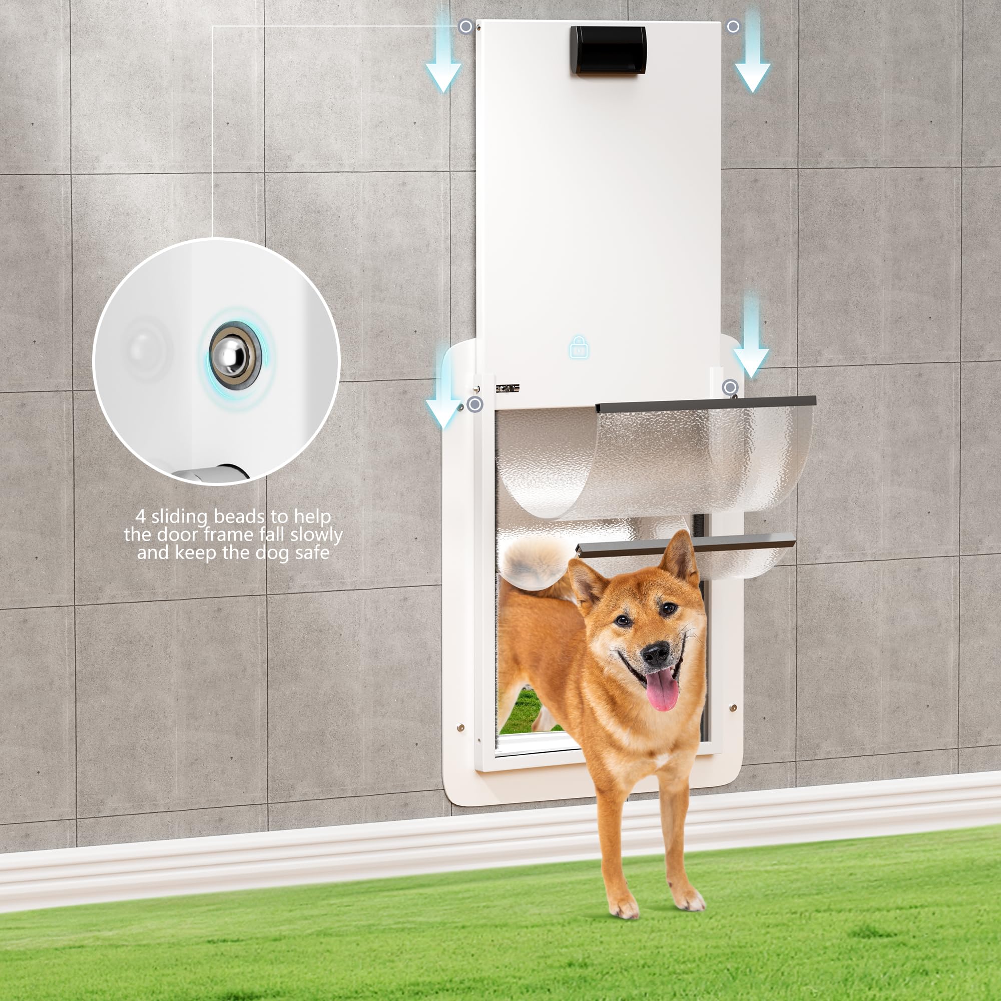 Double-Flap Pet Door for Wall and Door - Adjustable Small Pet Door with Lock & Closing Panel for Dogs & Cats Under 12 lbs - Perfect for Indoor/Outdoor Access, Home Security & Easy Pet Training
