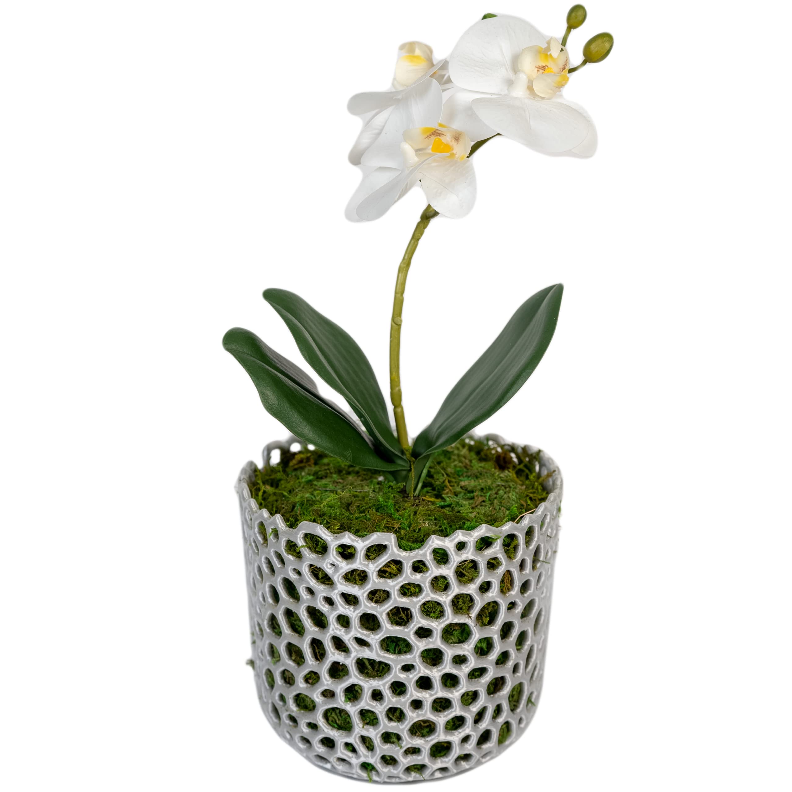 Copper Orchid Pot Mesh Cylinder - Breathable Planter for Healthy Orchid Roots | Perfect for Phalaenopsis, Dendrobium & Indoor Orchid Care