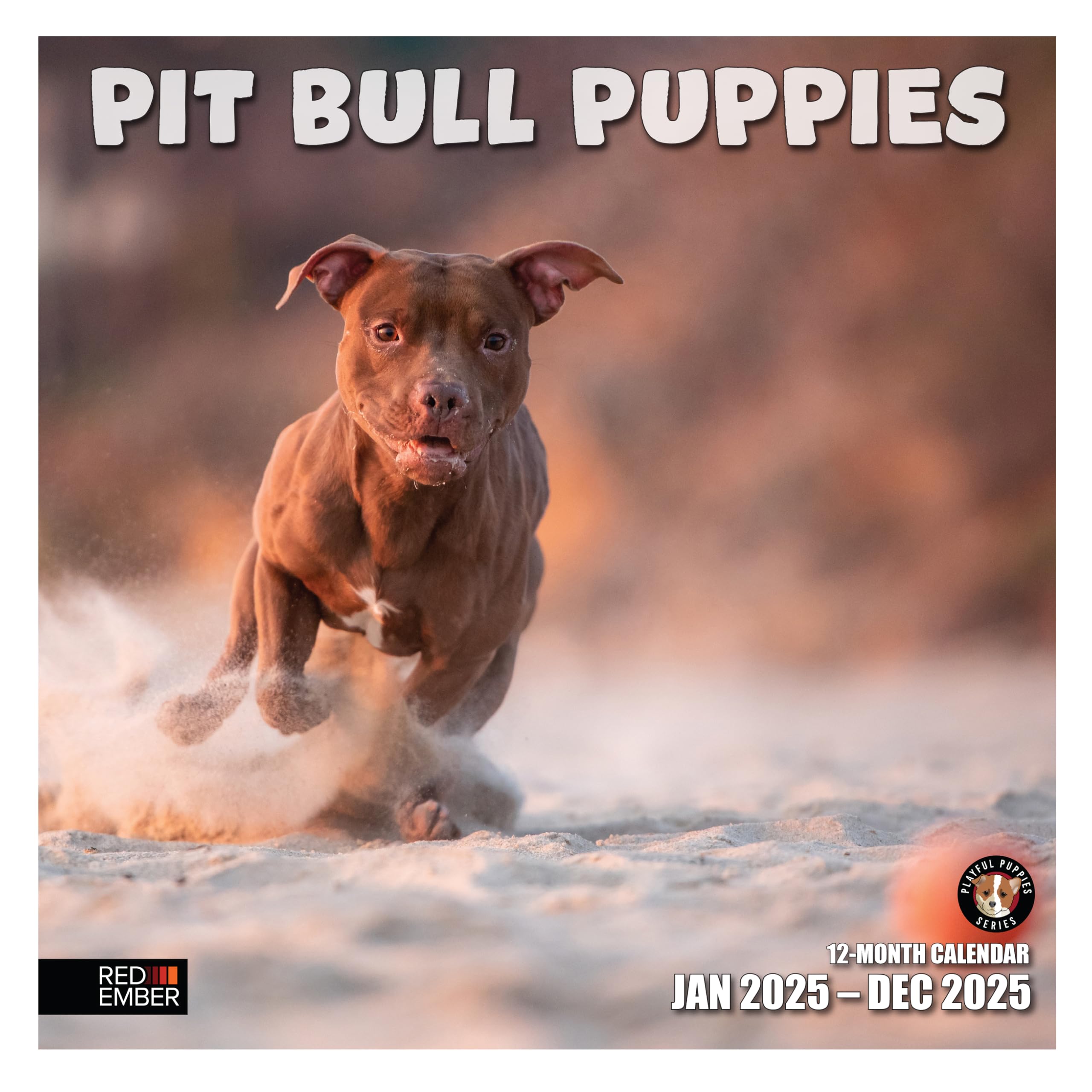 RED EMBER Pit Bull Puppies 2025 Wall Calendar - 12 Month Large Format (12x24 Inches) | Thick & Sturdy Paper | Perfect Gift for Dog Lovers | Home & Office Decor | Puppy Lover Wall Planner