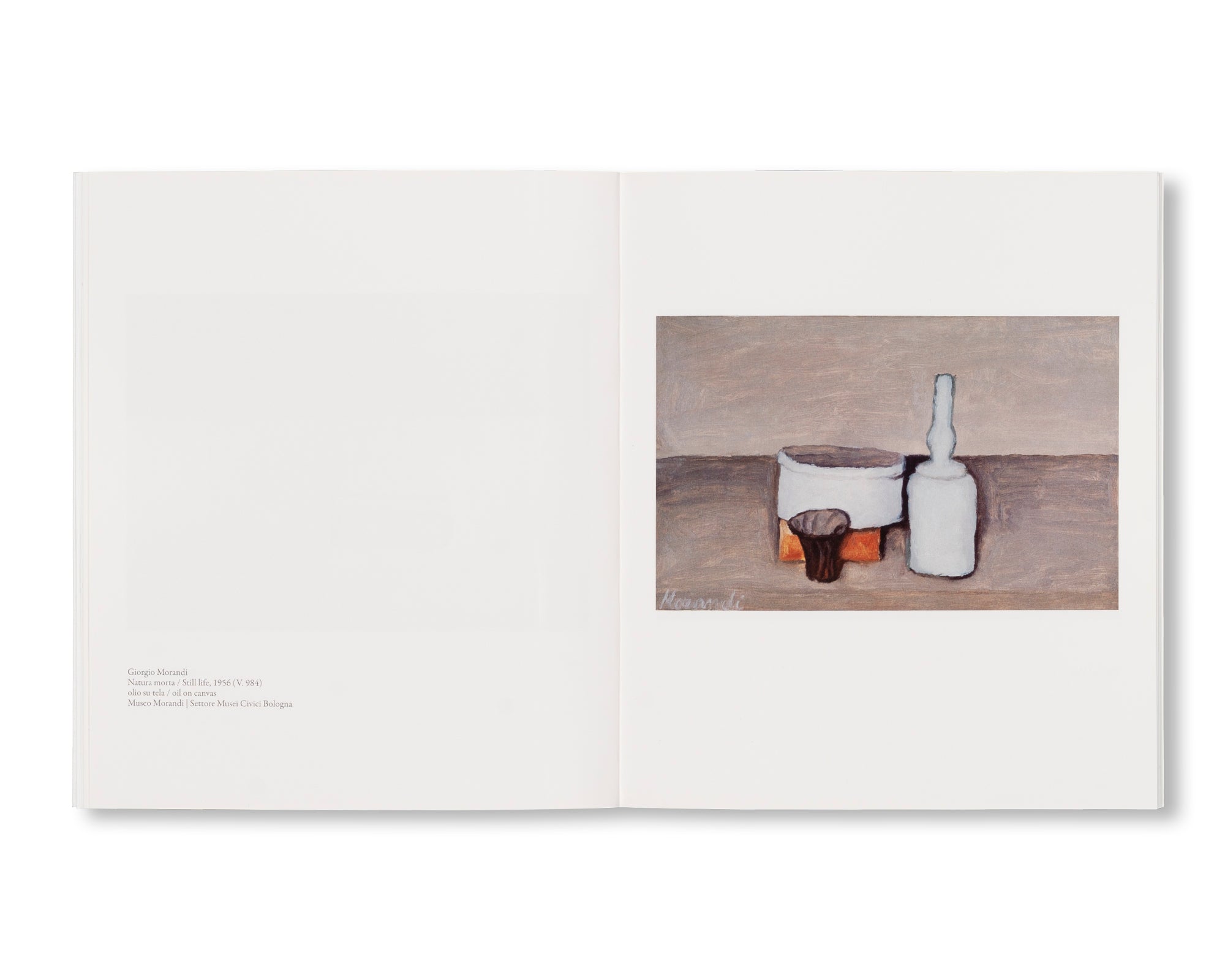 MORANDI’S BOOKS by Mary Ellen Bartley - Art Photography Book Collection for Home Decor, Coffee Table Display & Gift Ideas