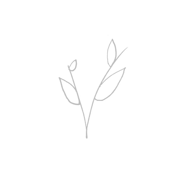 Leaf Branch Illustration - Hand Drawn Botanical Art Print for Home Decor, Wall Art, and Nature-Inspired Gifts | Perfect for Living Room, Bedroom & Office