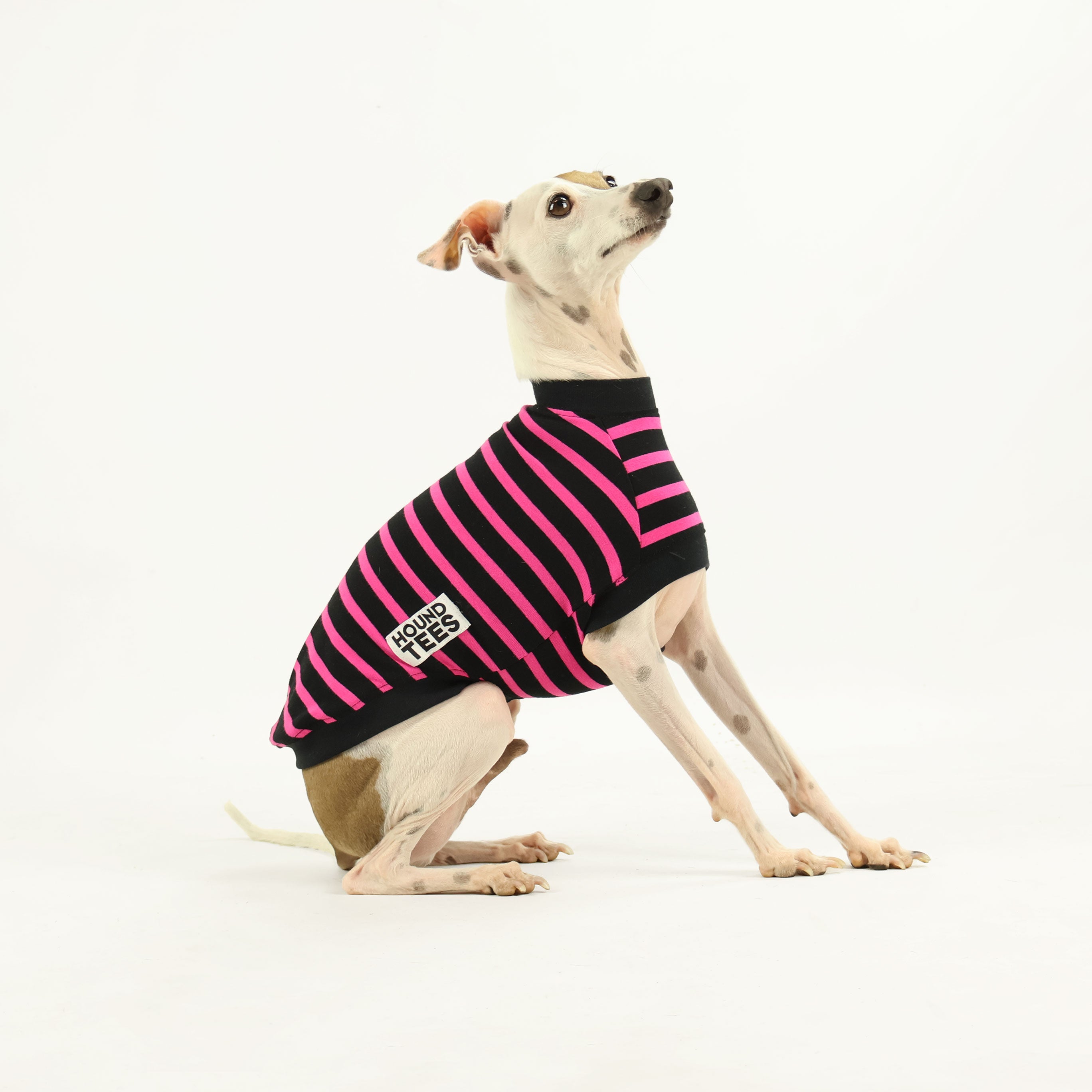 Sk8er Hound Iggy Sleeveless Graphic T-Shirt for Men - Cool Skateboarding Dog Design - Perfect for Casual Wear, Street Fashion & Skate Enthusiasts