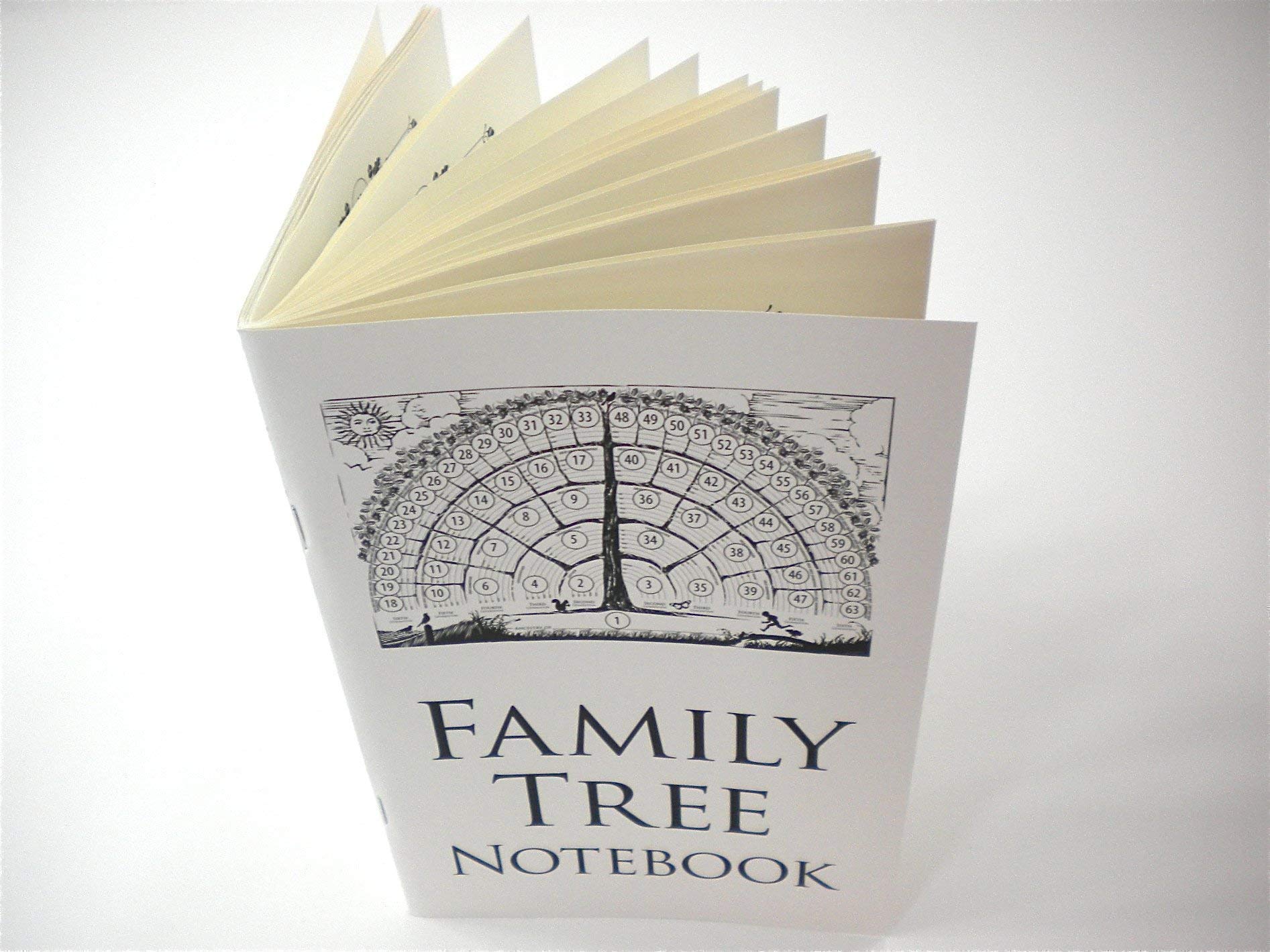 Family Tree Notebook - 2-Pack Genealogy Journal for Baby, Men, Women, Grandparents & In-Laws | Ancestor Stories & Family History Keepsake | Perfect for Family Reunions, Baby Showers & Holiday Gifts