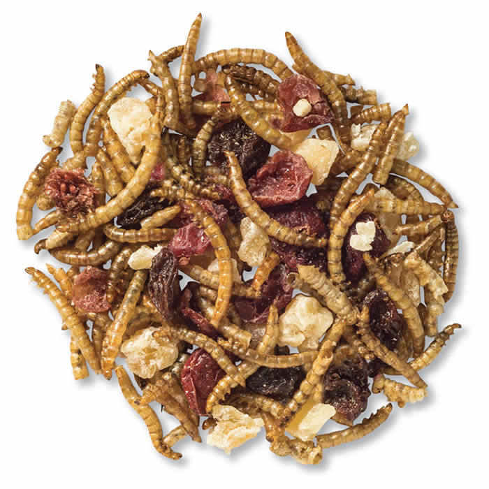 Premium Wild Bird Food - Duncraft Super Fruit & Nut Trail Mix for Backyard Birds | Nutritious Seed Blend for Cardinals, Blue Jays & Woodpeckers | Ideal for Bird Feeders & Wildlife Gardens