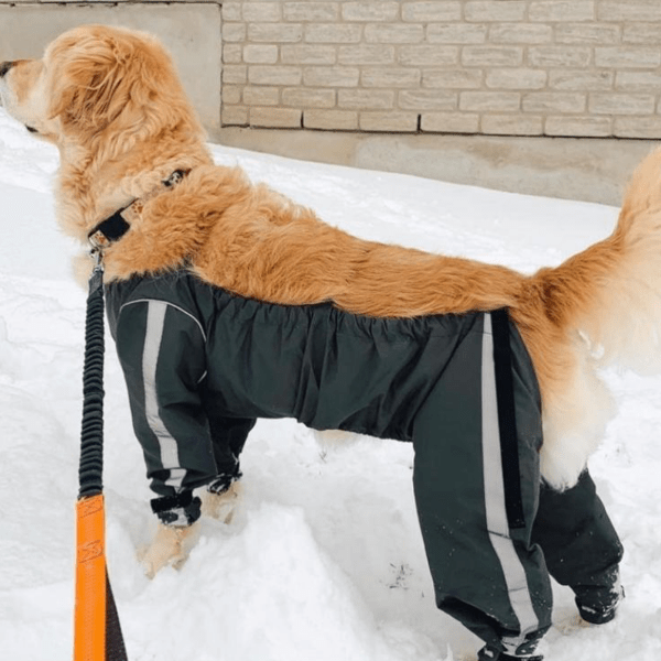 FouFouDog Protective Dog Pants - Waterproof & Durable Pet Diapers for Small Medium Large Dogs - Perfect for House Training, Travel & Post-Surgery Care