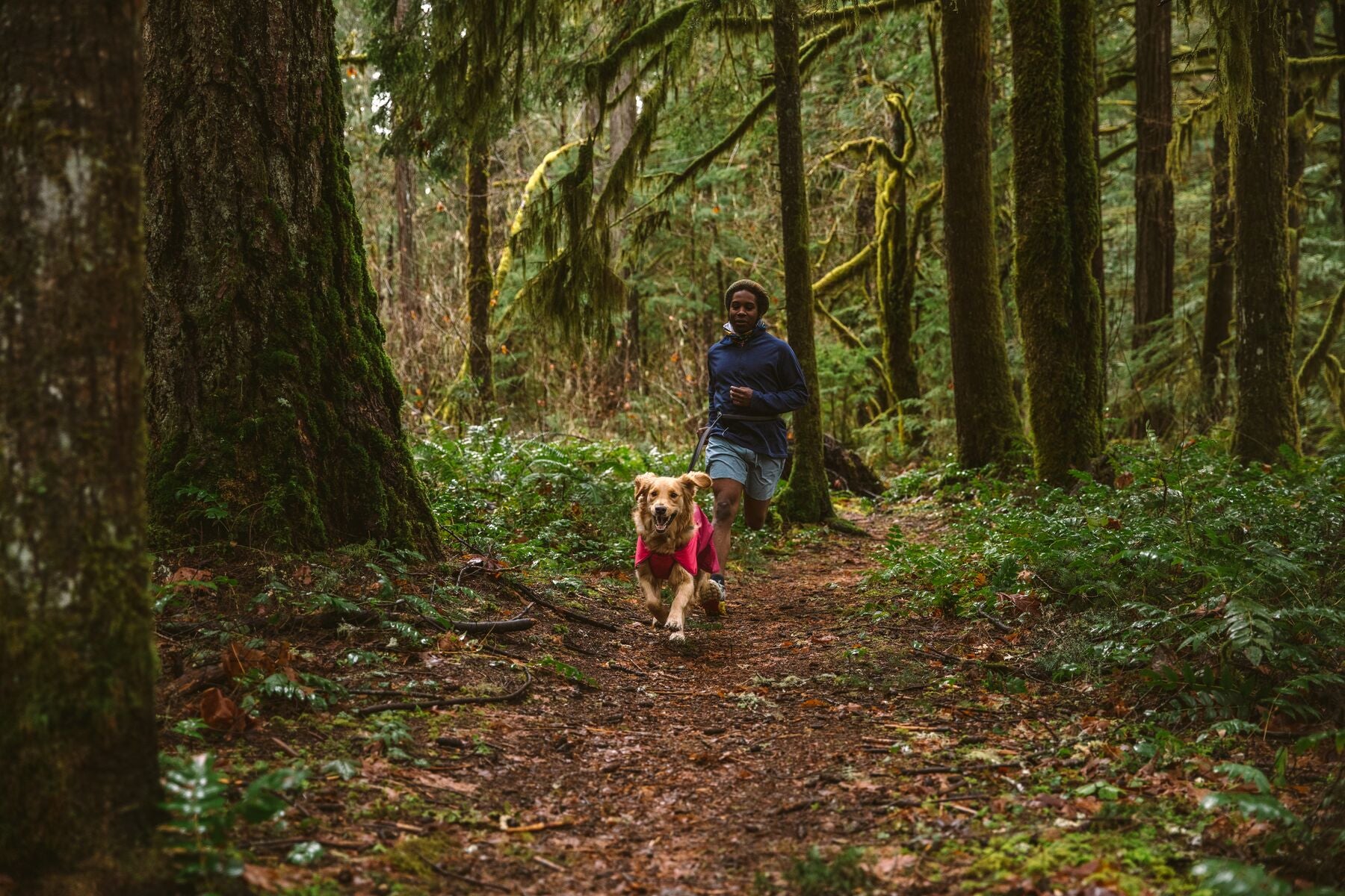 Ruffwear Sun Shower® Waterproof Dog Vest - Blue Dusk Color | Lightweight Rain Jacket for Dogs | Perfect for Hiking, Camping & Outdoor Adventures