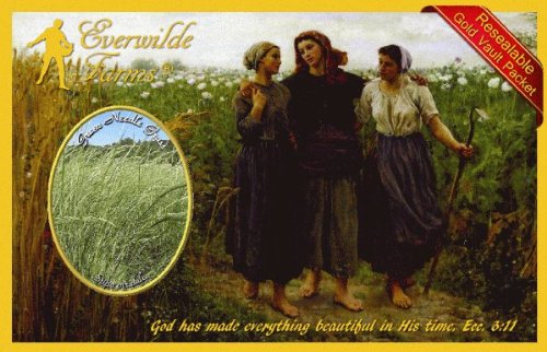 Everwilde Farms - 1/4 Lb Green Needle Grass Native Grass Seeds - Gold Vault Packaging - Drought Resistant Lawn & Erosion Control for Landscaping, Meadows & Wildlife Habitats