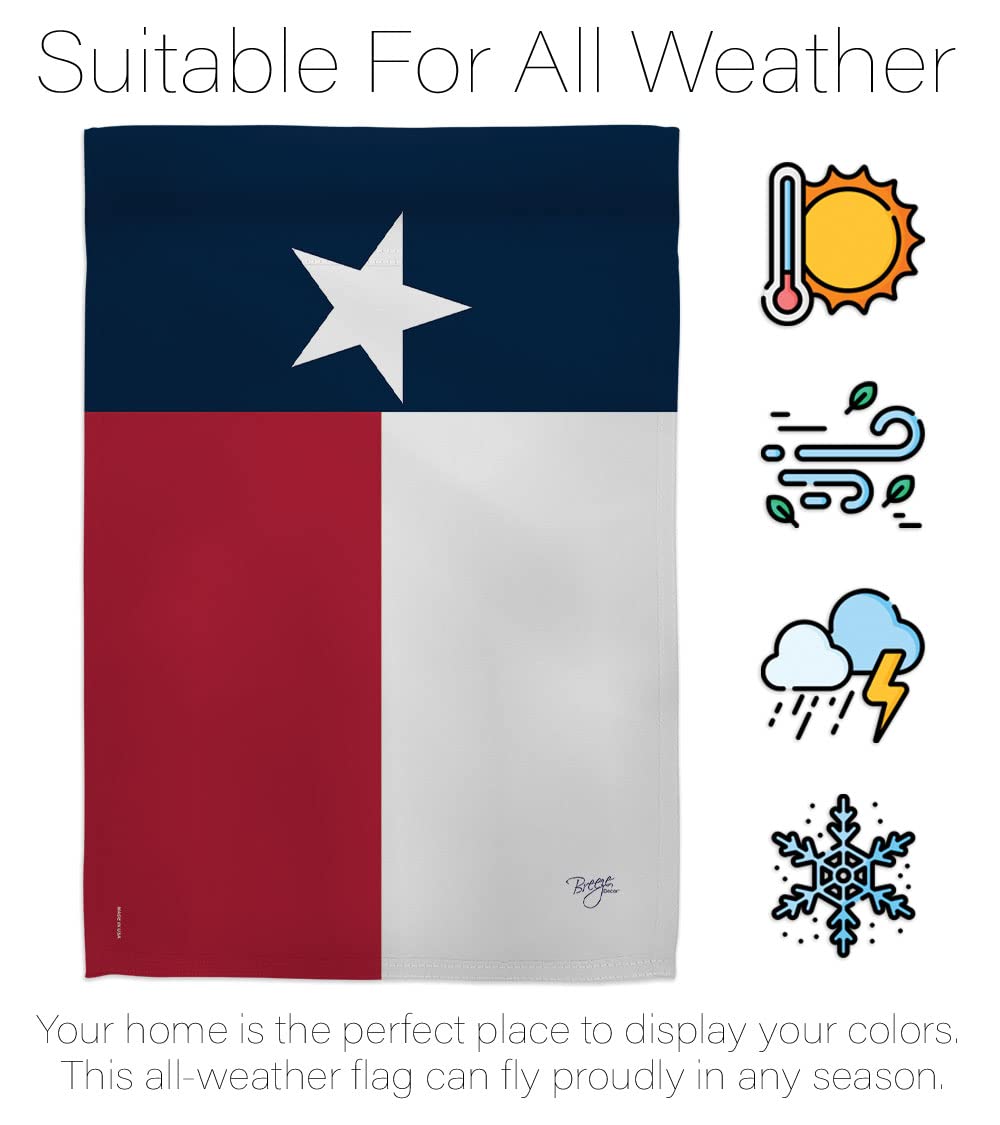 Texas Americana House Flag Set 28x40