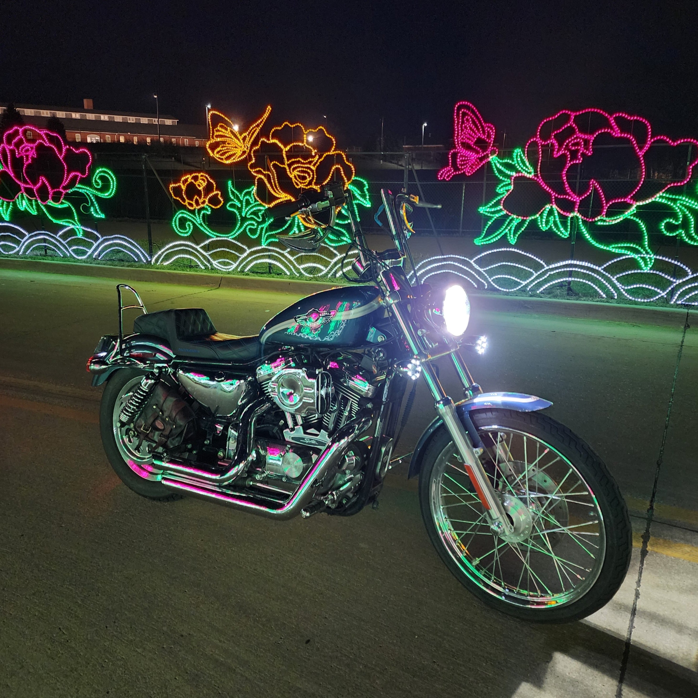 Eagle Lights 2