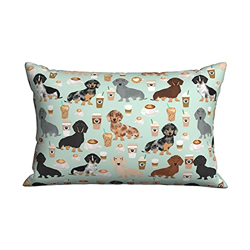 Cute Colored Coffee Dachshund