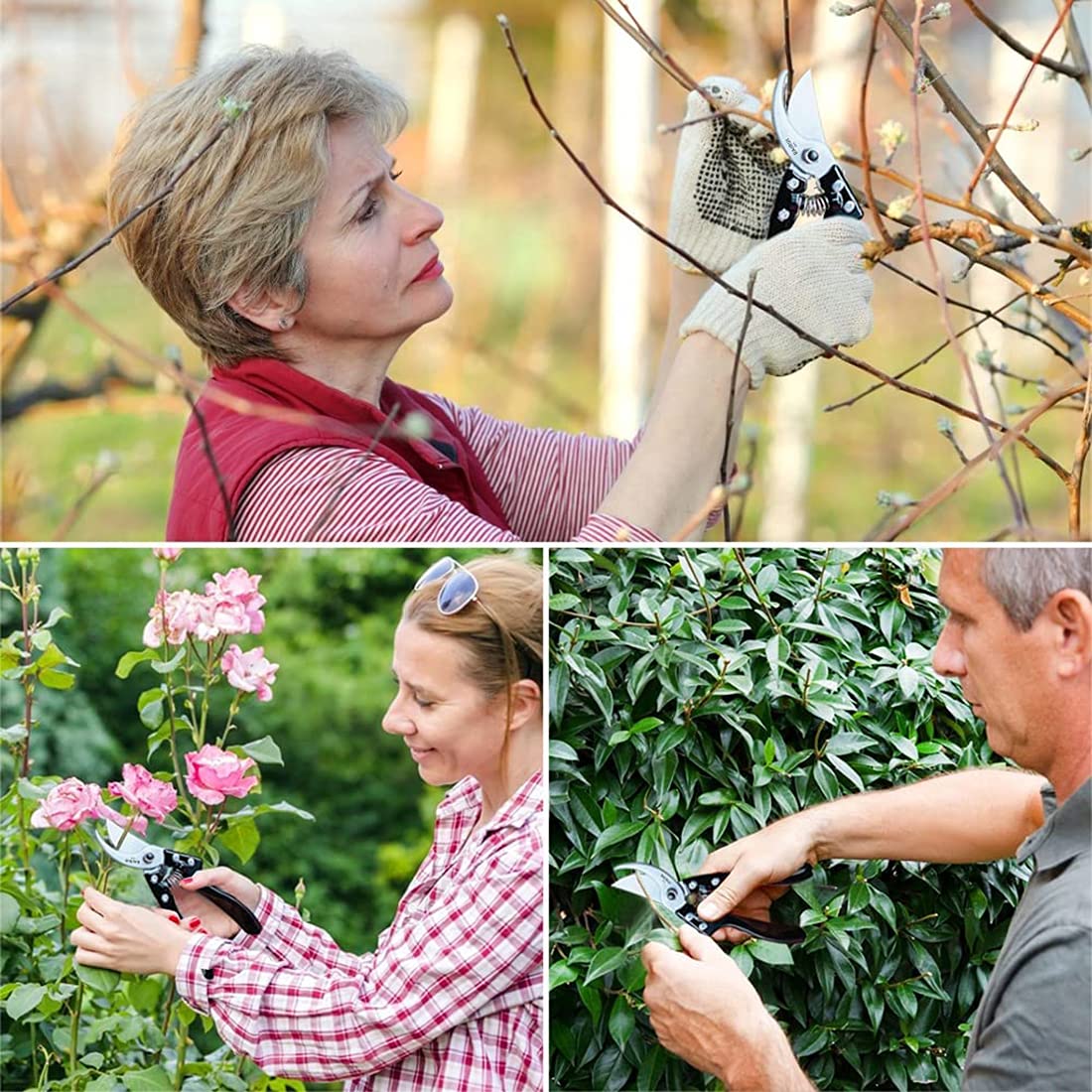 Premium Stainless Steel Garden Pruning Shears - Bypass Pruners for Branches, Twigs, Flowers & Fruit Plants - Ergonomic Design for Gentle Trimming - Perfect for Gardening, Landscaping & Outdoor Plant Care