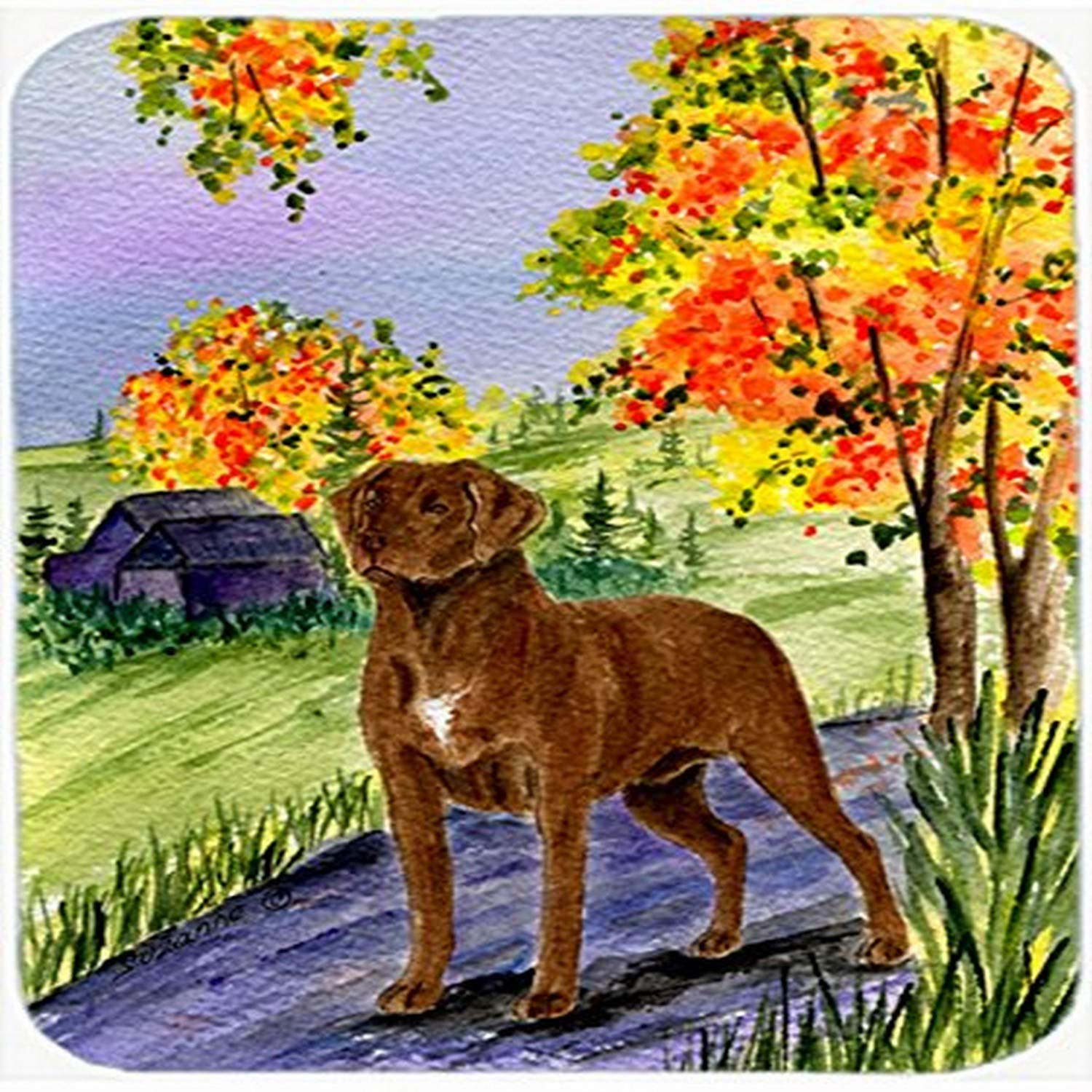 Premium Chesapeake Bay Retriever Tempered Glass Cutting Board - Large Decorative Kitchen Chopping & Serving Board for Meat, Cheese, Fruits - Perfect for Entertaining, Holiday Gifts & Dog Lovers