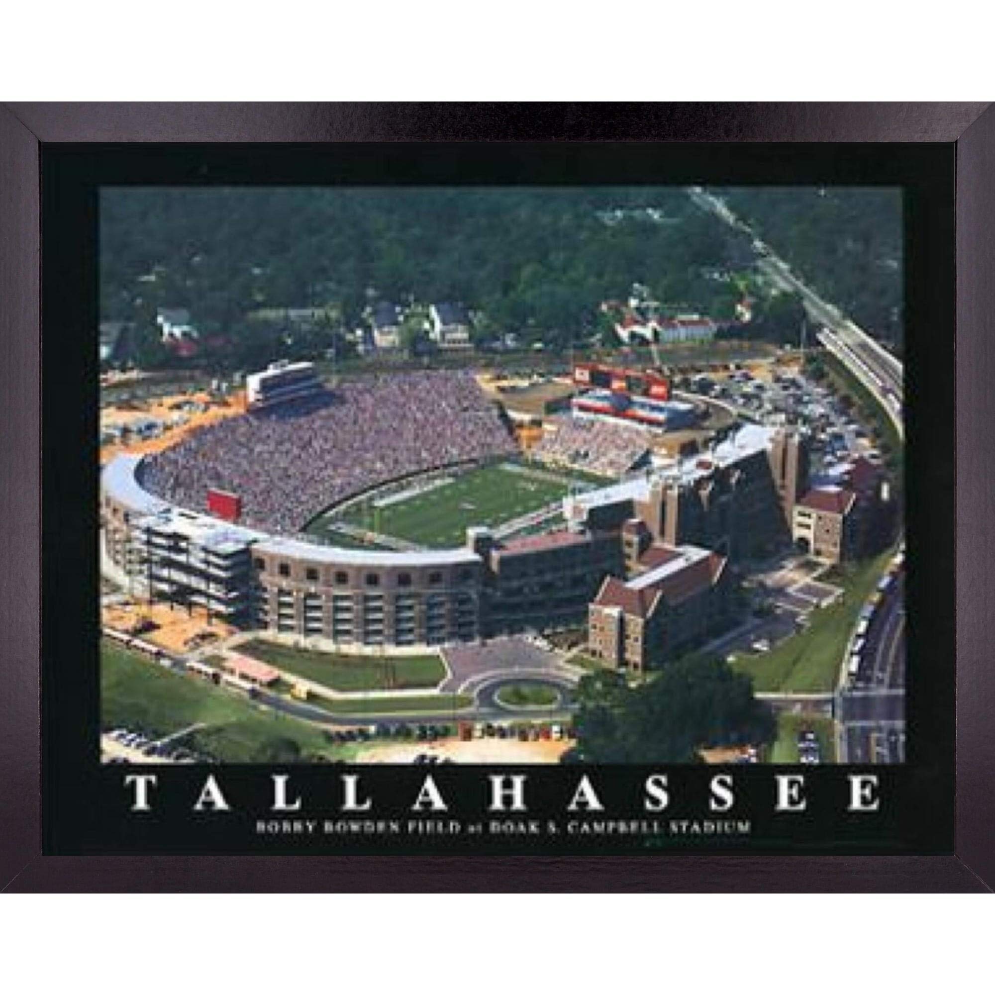 Florida State Seminoles Football Stadium Aerial View Framed Wall Art Print | 23