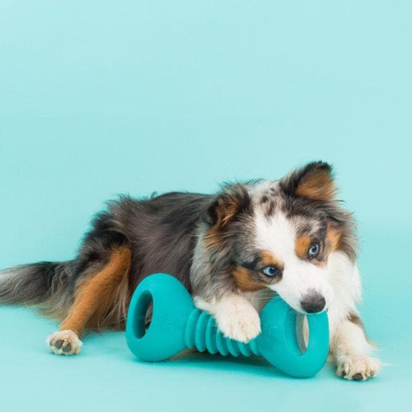 Durable Flexible Rubber Dog Chew Toy - ZippyTuff Dumbbell for Aggressive Chewers, Puppy Teething & Interactive Playtime