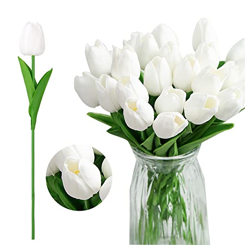 Pure White