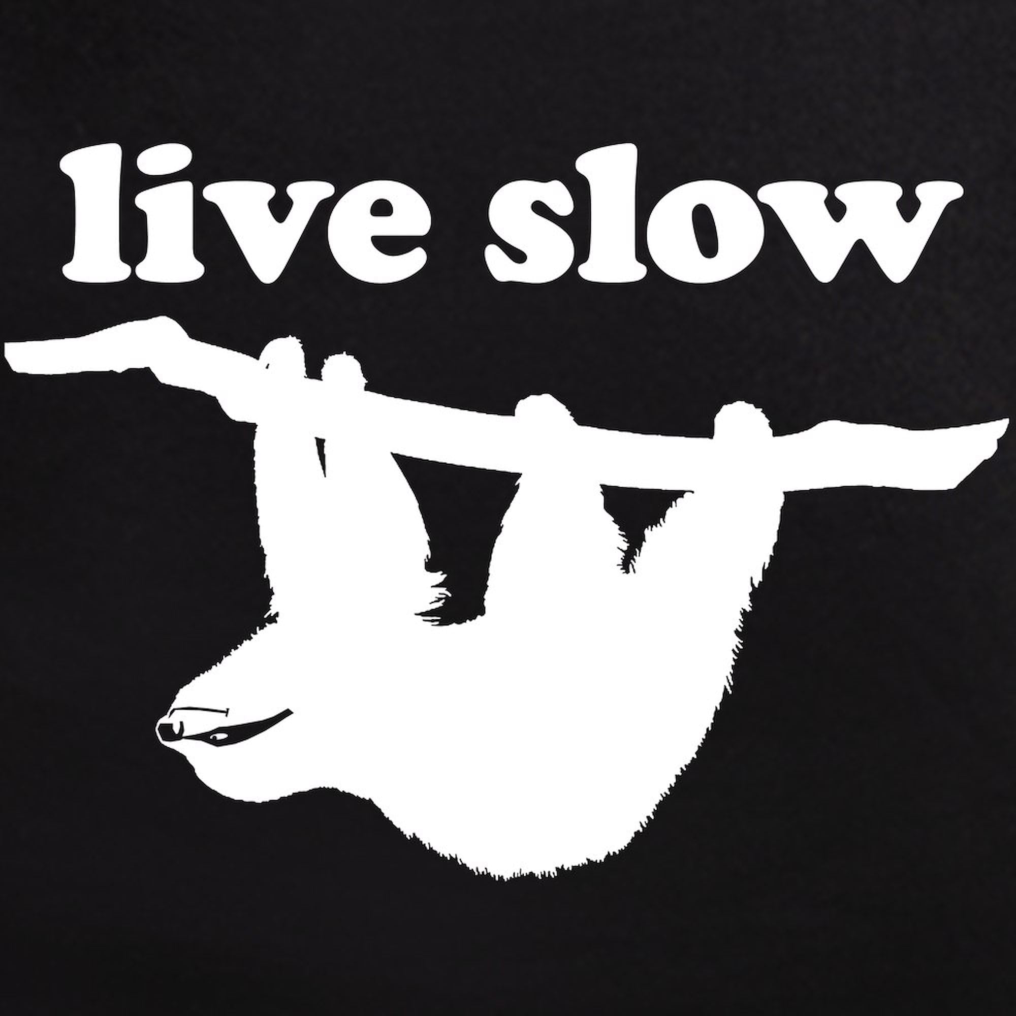 Live Slow Sloth Pajamas for Men - Comfortable Novelty Sleepwear Set | Cozy Lounge & Sleep Pajamas for Relaxing at Home
