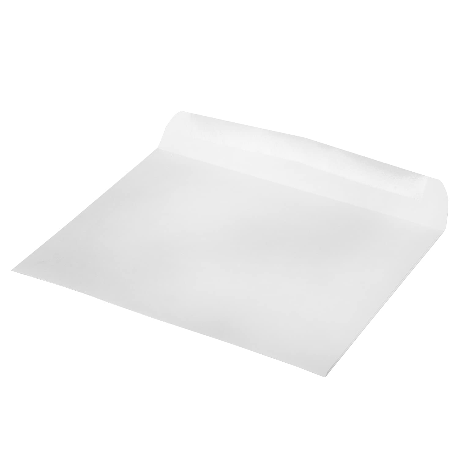 JAM PAPER 9 x 12 Inch White Commercial Window Envelopes - Bulk Pack of 250 - Perfect for Business Mailings, Invoices & Office Documents