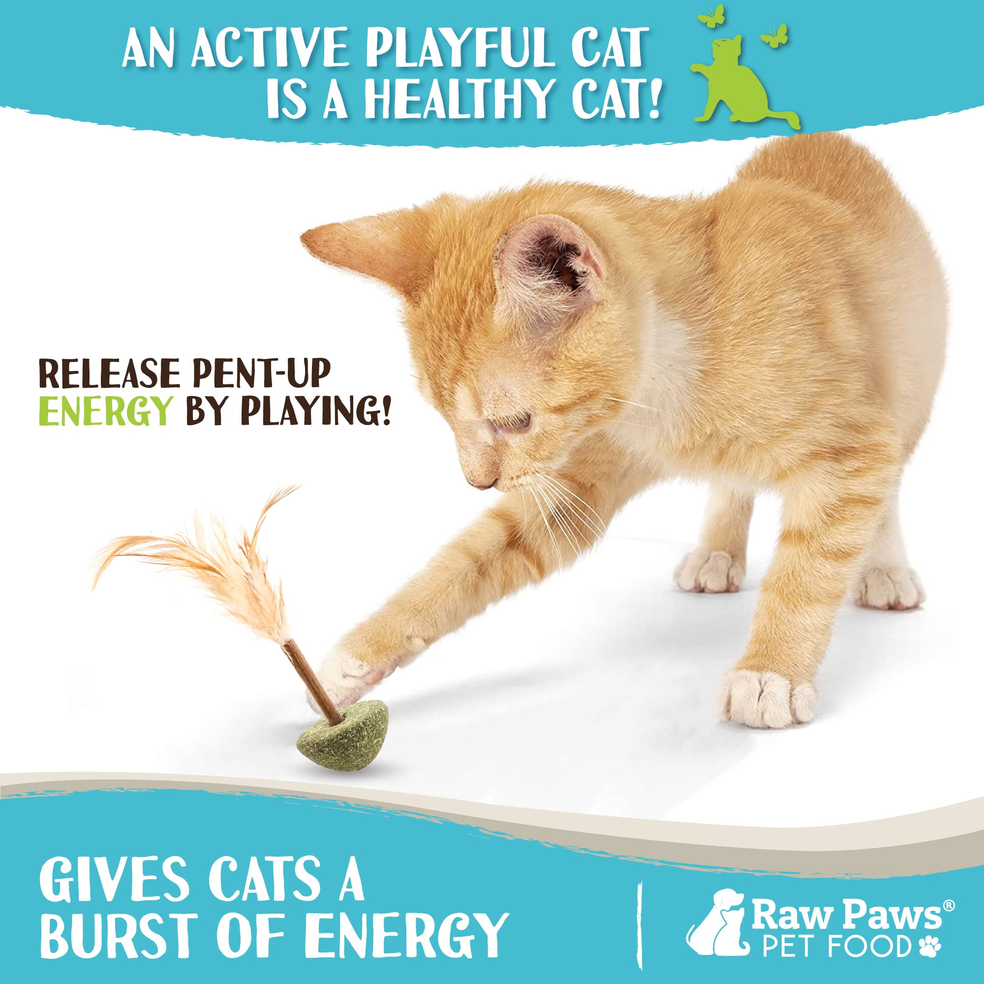 Raw Paws Silvervine Lollipop Cat Toys (3-Pack) - Feather Stimulation Toys for Indoor Cats - Interactive Catnip Kicker Toy with Feathers - Perfect for Playtime, Exercise & Bonding