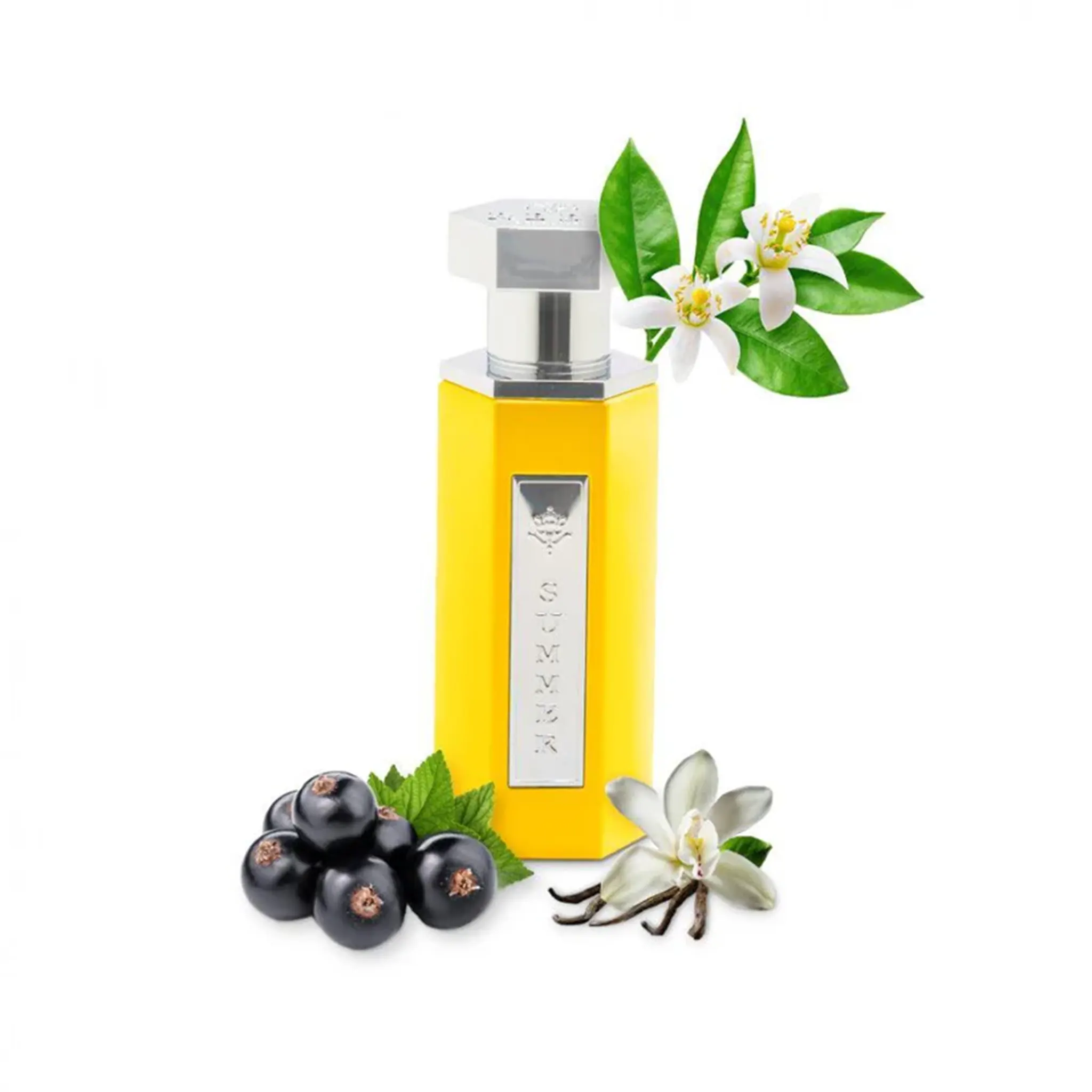 REEF Summer Yellow Eau De Parfum 100ml for Women - Floral Citrus Perfume for Daytime & Evening Wear - Perfect for Beach Vacations & Summer Parties