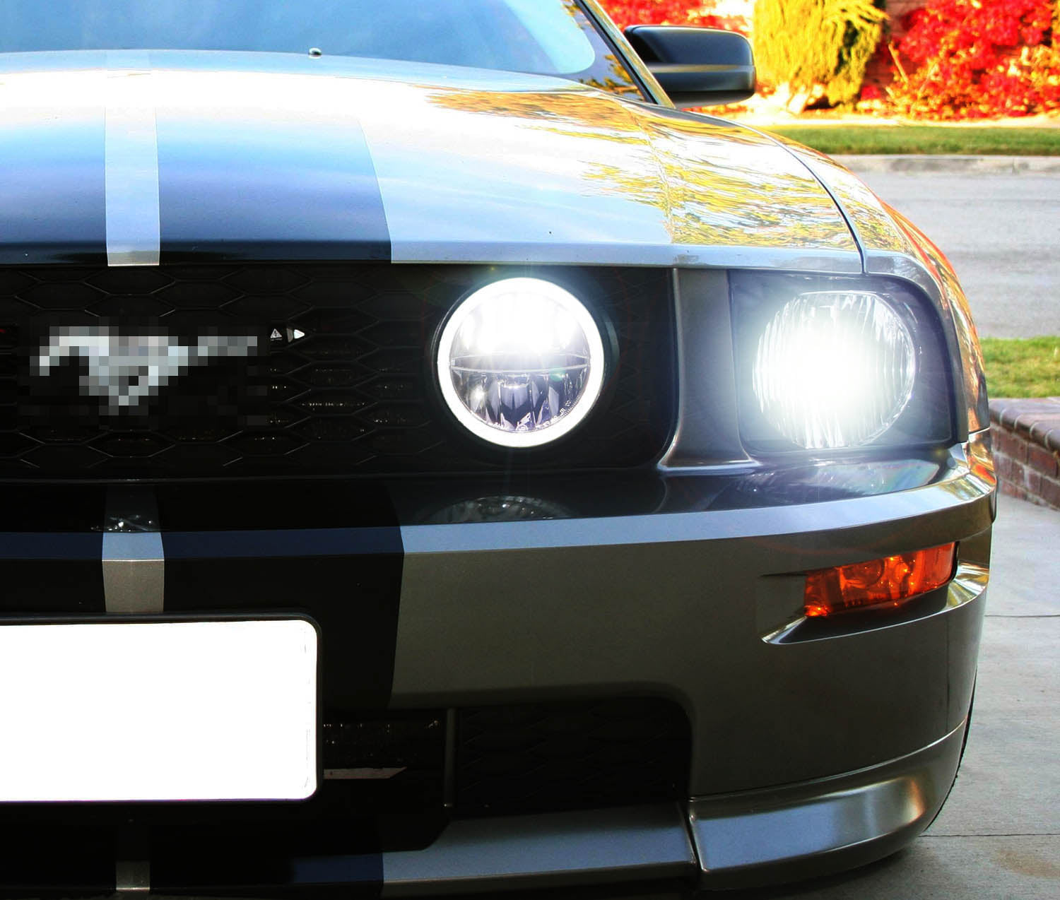 30W Rally Racing Style LED Halo Ring Fog Lights for 2005-2009 Ford Mustang - Durable Off-Road Fog Lamps with Bright Halo Rings for Night Driving & Car Shows