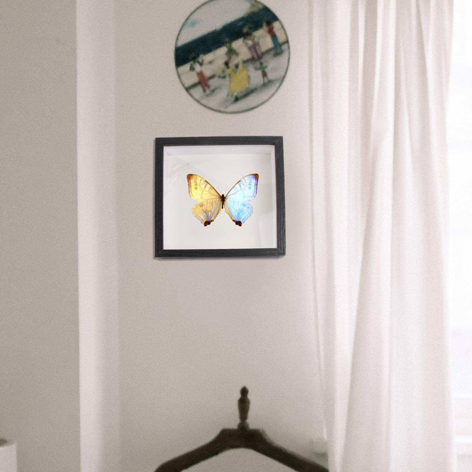 BESPORTBLE 3D Shadow Box Frame - Glass Display Case for Specimens, Medals, Preserved Flowers & Quilling Art | Black Beach Cart Style | Perfect for Home Decor, Wedding Keepsakes & Memory Preservation