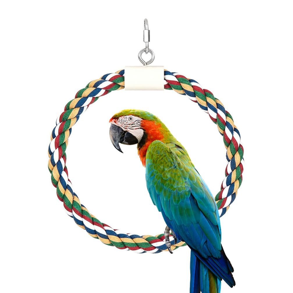 Balacoo Parrot Toys - Bird Cage Climbing & Biting Toys for Conures, Parakeets, Long Tail Birds - Cotton Rope Swing & Bungee Cord Accessories - Perfect for Playtime & Exercise in Bird Cages