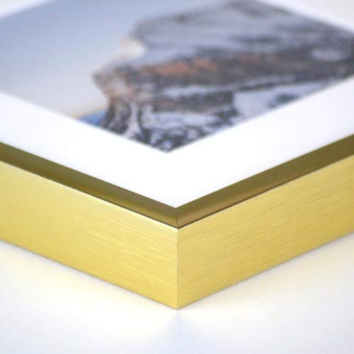 Gloss Gold