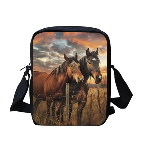 Western Brown Horse