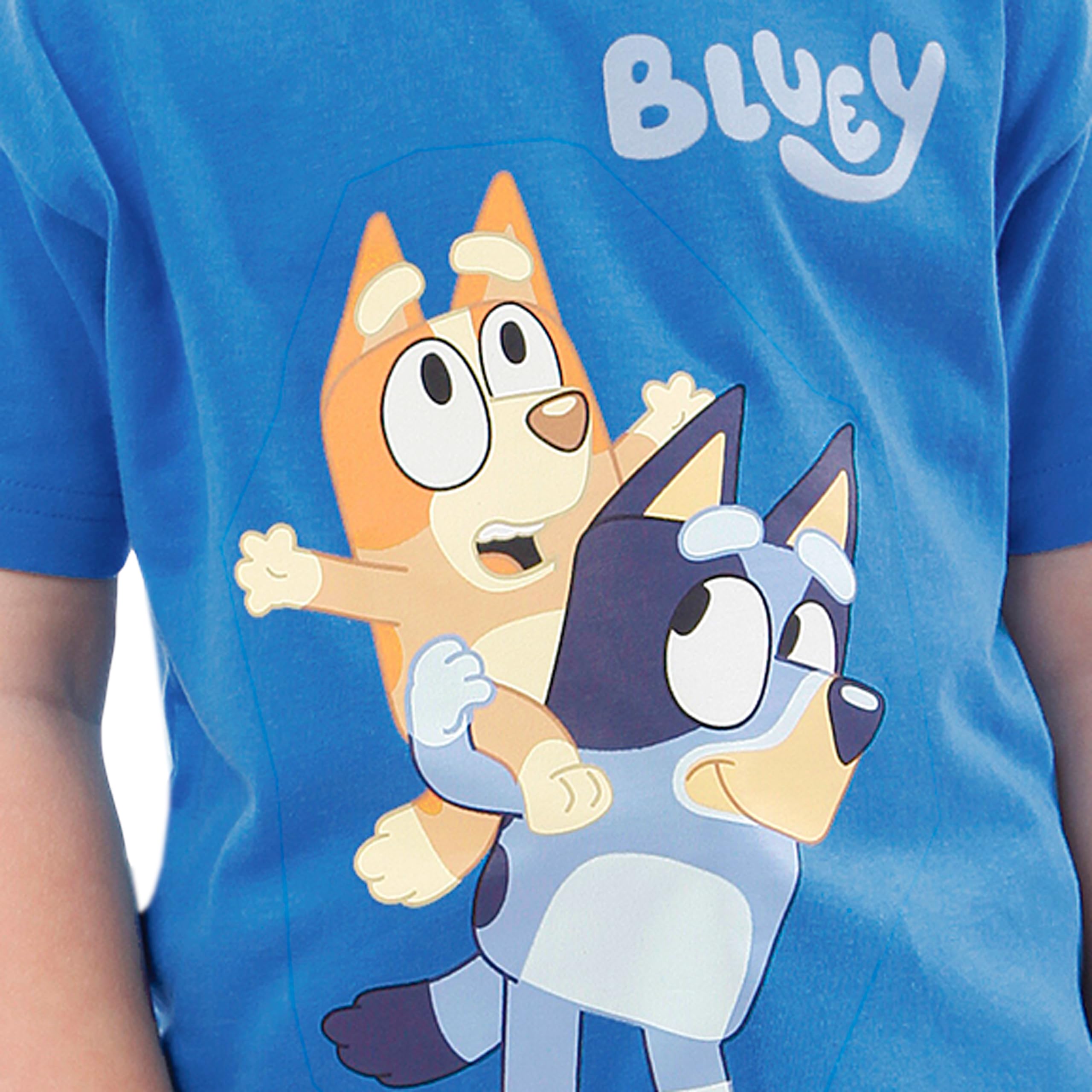 Bluey Boys T-Shirt - Short Sleeve Summer Cartoon Character Tee with Bingo Design | Sizes 18 Months to 5 Years | Perfect for Playdates, Birthday Parties & Family Outings