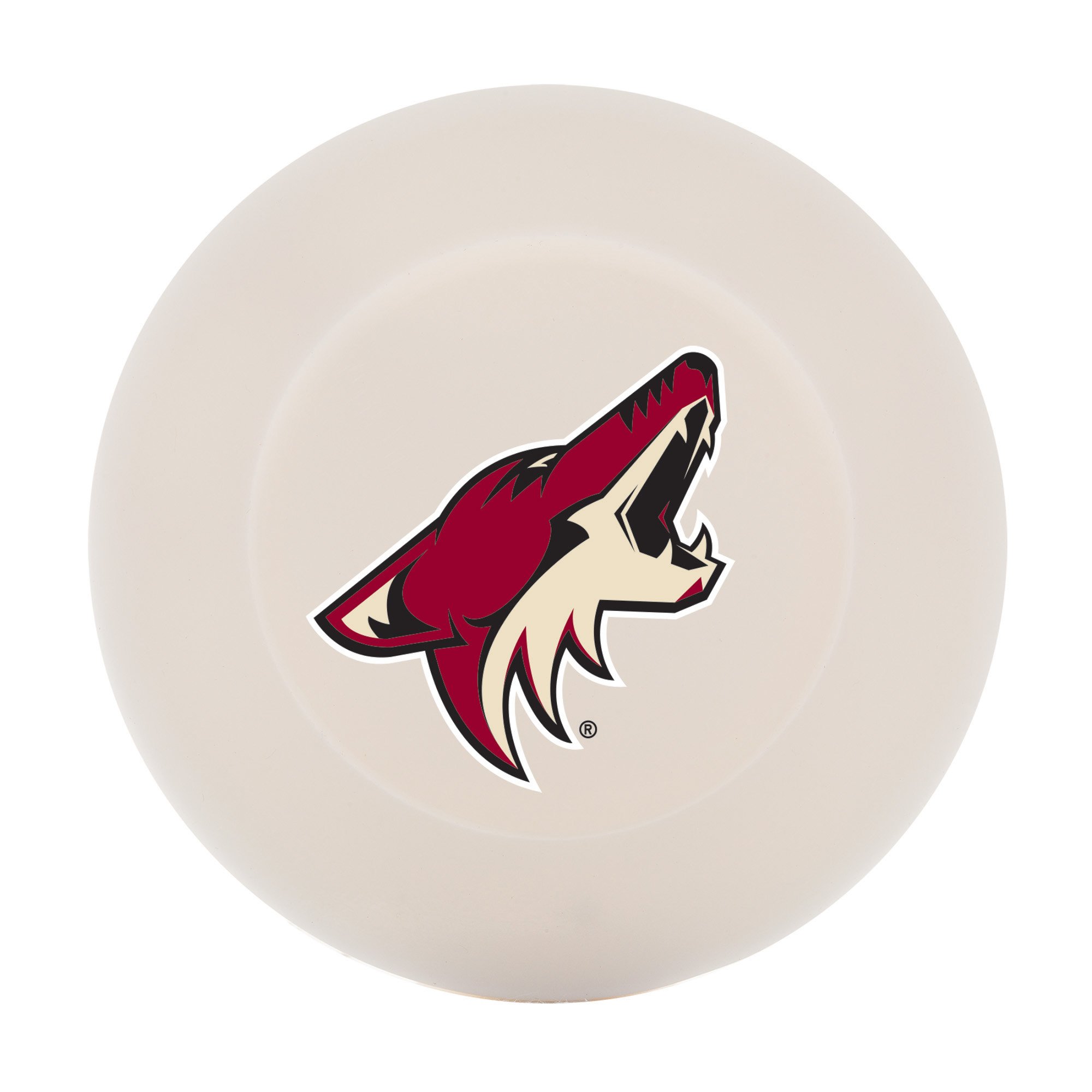 Franklin Sports NHL Official Licensed Street Hockey Puck - Durable & High Performance for Outdoor & Indoor Hockey Games, Practice, Training & Street Play
