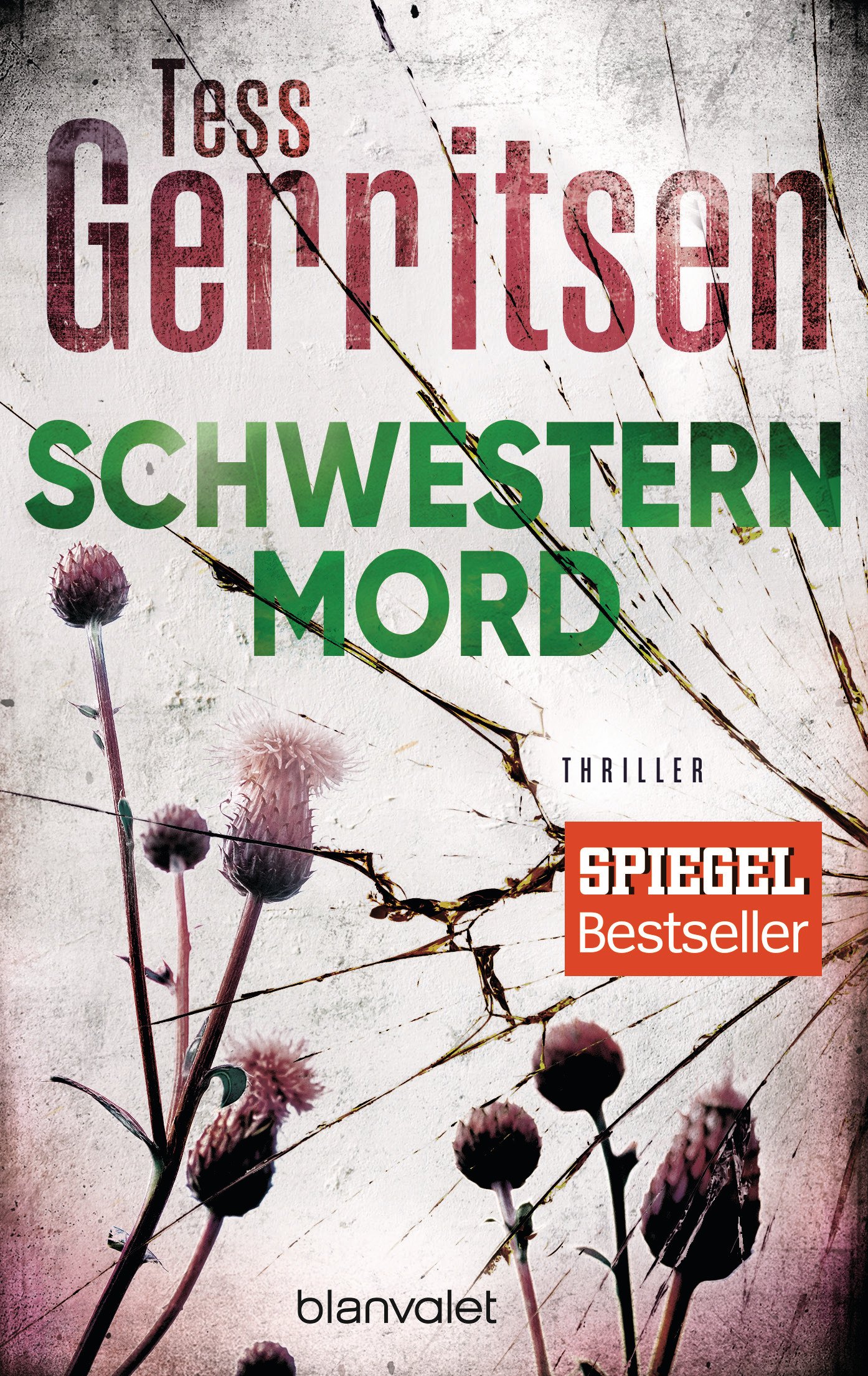 Sister Murder Thriller - Gripping Crime Novel for Mystery Lovers