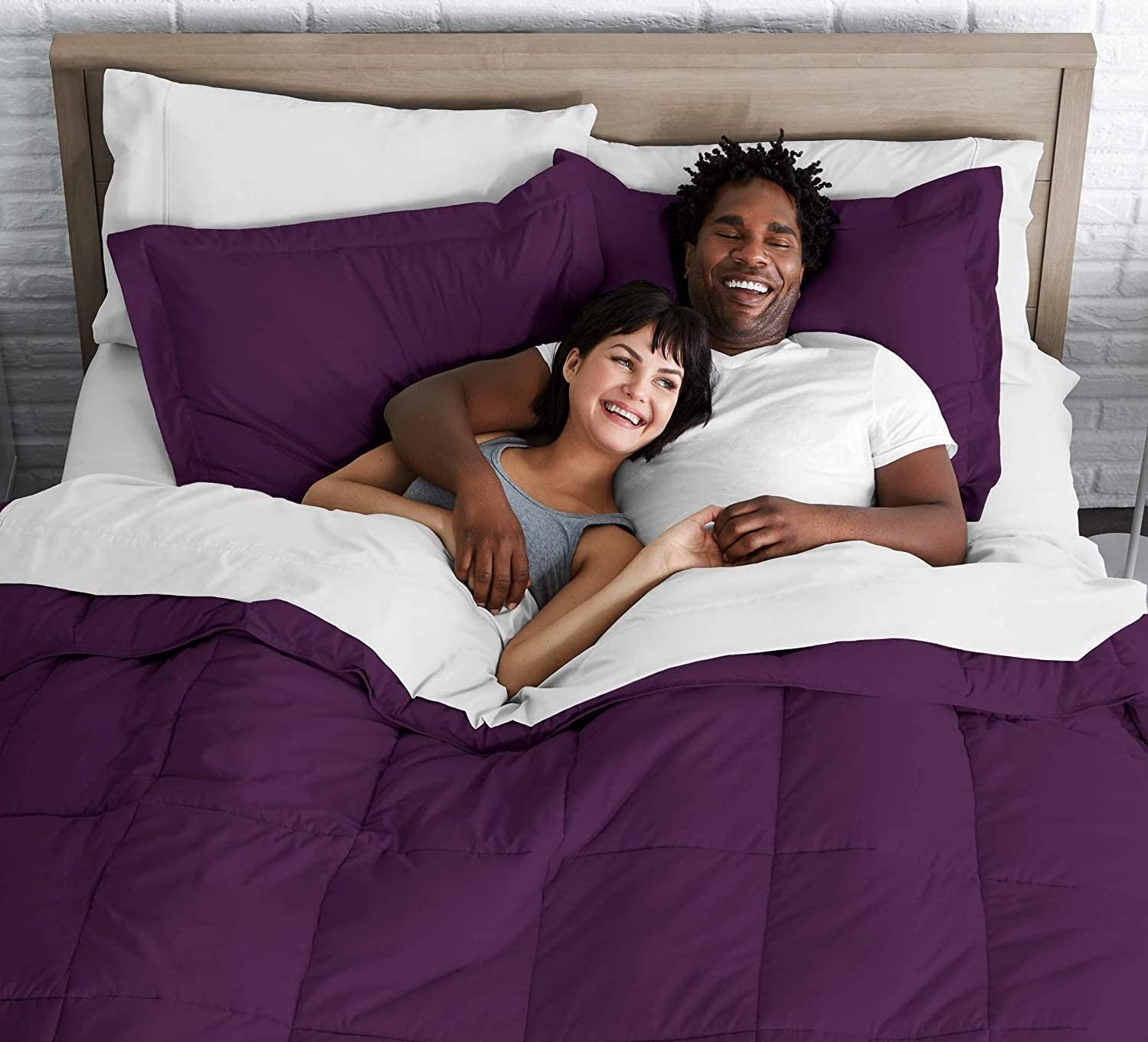 800 Thread Count 100% Egyptian Cotton Queen Size Comforter - Hotel Quality, 300 GSM All-Season Goose Down Alternative - Oversized Purple Solid Bedding for Luxury Home & Guest Room Comfort