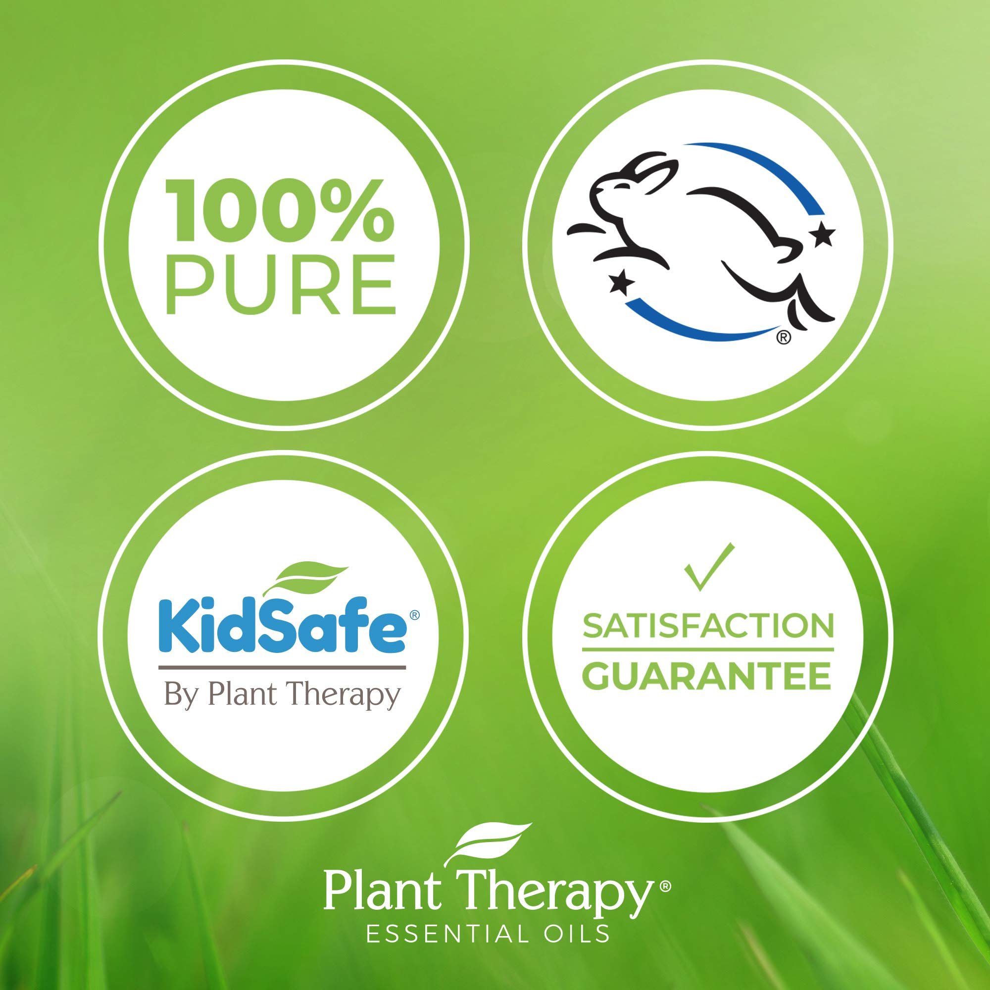 Plant Therapy Grapeseed Carrier Oil 4 oz - 100% Pure Natural Base Oil for Aromatherapy, Essential Oils & Massage - Perfect for Skin Care, Hair Treatment & DIY Blends
