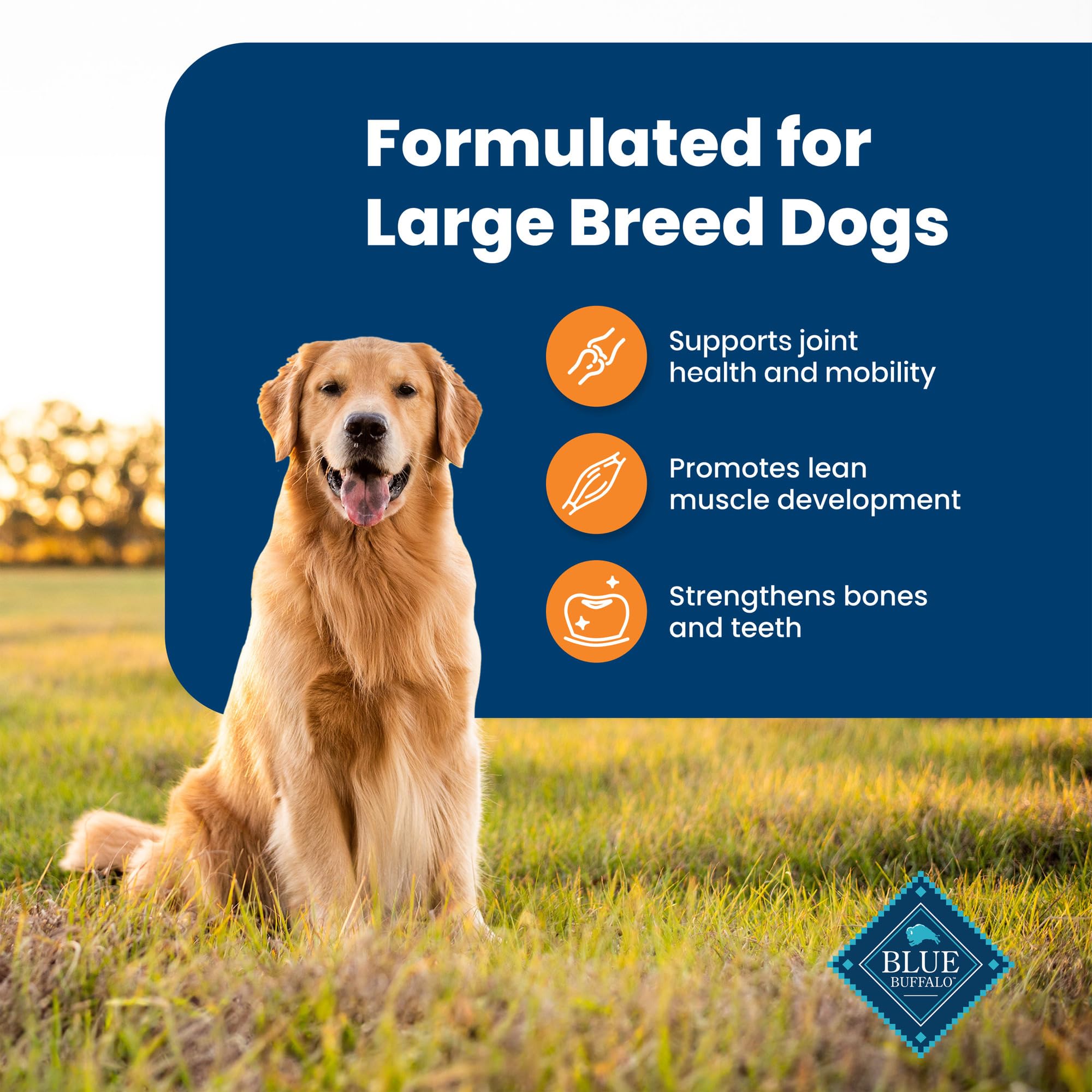 Blue Buffalo Life Protection Formula Large Breed Adult Dry Dog Food - Natural Chicken & Brown Rice Recipe for Joint Health & Lean Muscles (30lb Bag) | Ideal for Active Large Dogs & Senior Canine Care