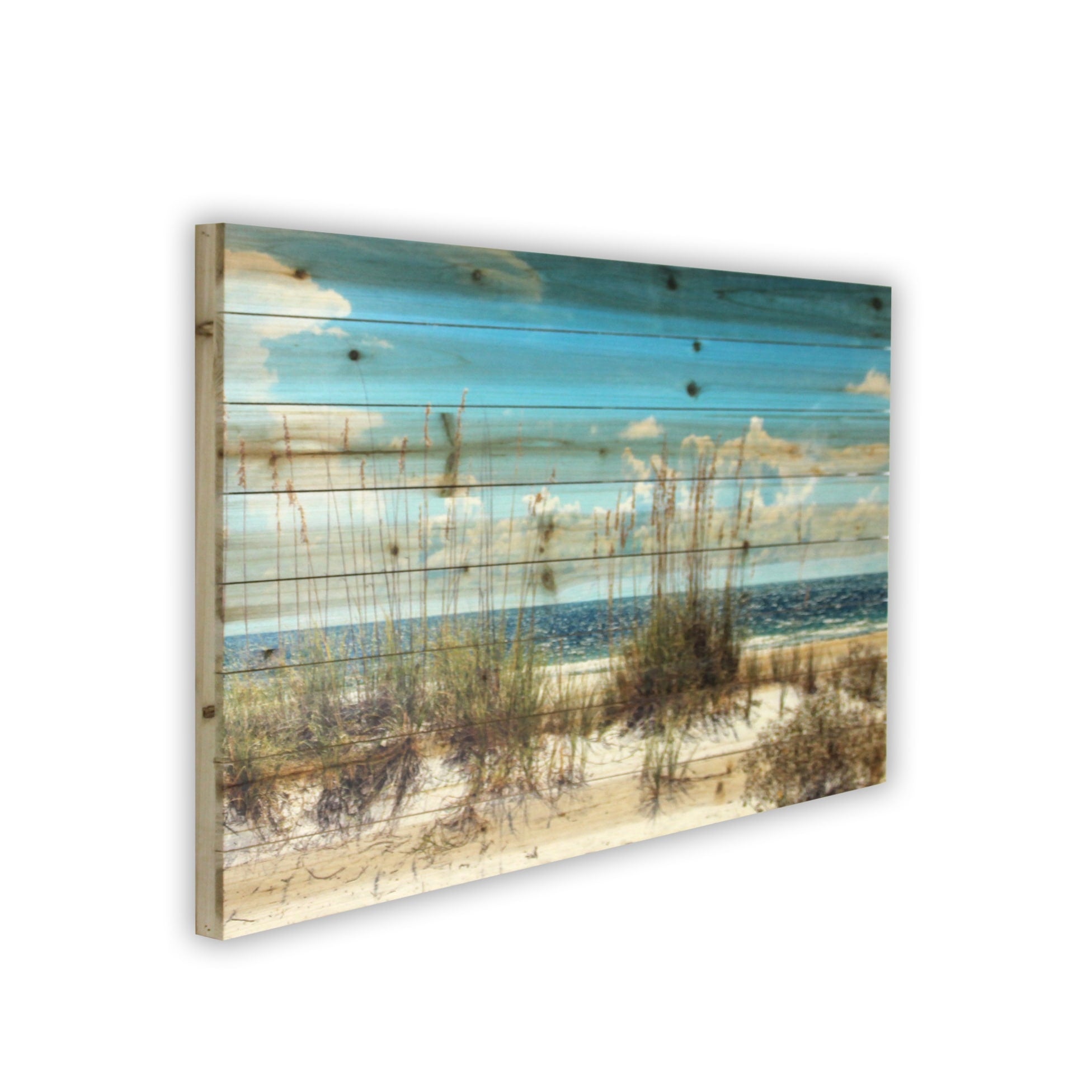 Beach Sand Dunes Landscape Photography Print on Reclaimed Wood Wall Art - Coastal Home Decor for Living Room, Bedroom & Office