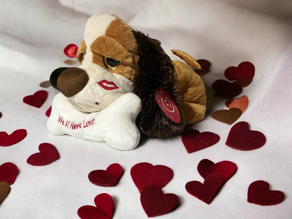 Valentine's Day Chocolate Gift Box with Plush Brown Dog | 32-Piece Cailler L'Atelier Artisan Chocolates & 17