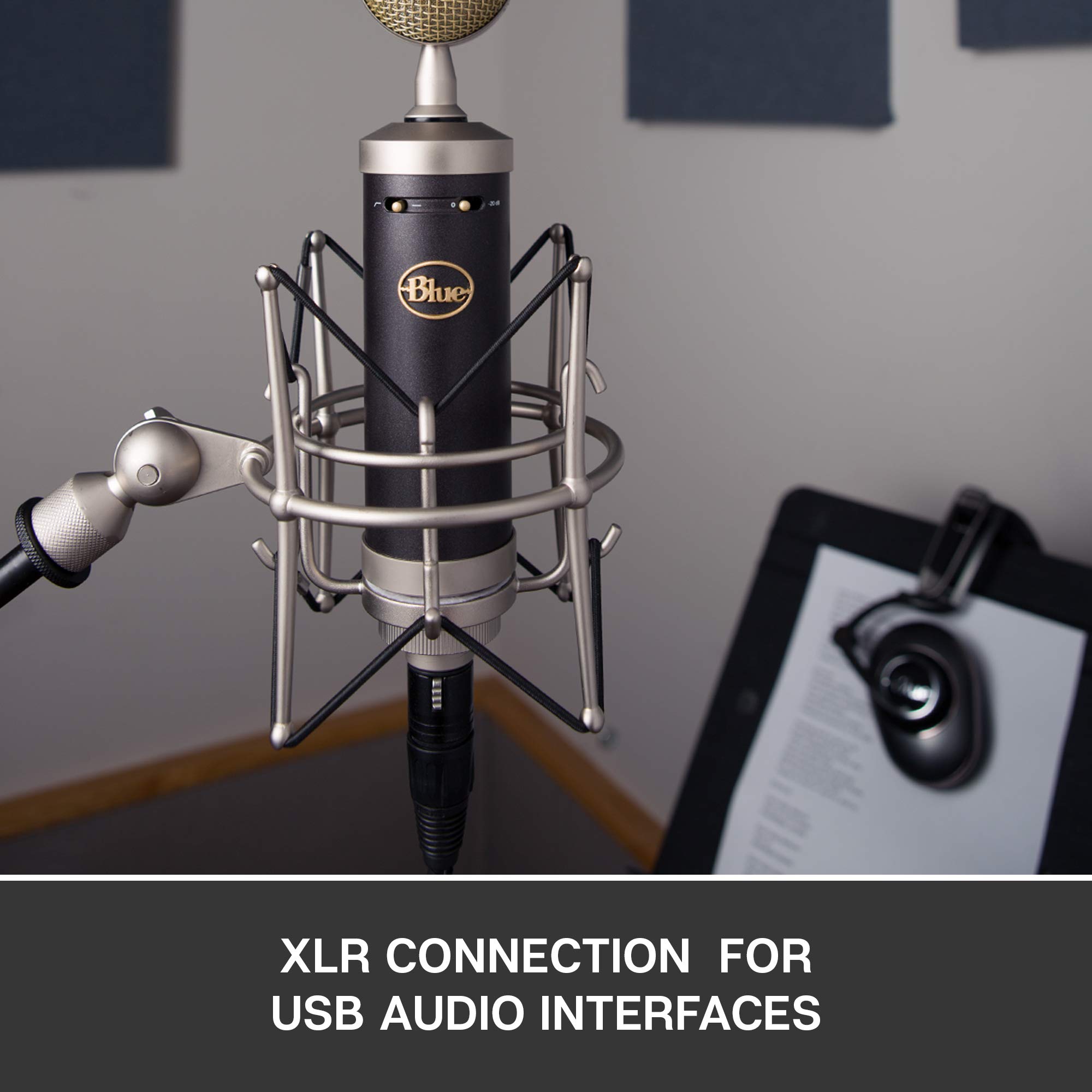Blue Baby Bottle SL Large-Diaphragm Condenser Microphone - Professional Studio Recording Mic for Vocals, Podcasting & Music Production (Renewed) - Perfect for Home Studios & Voiceovers