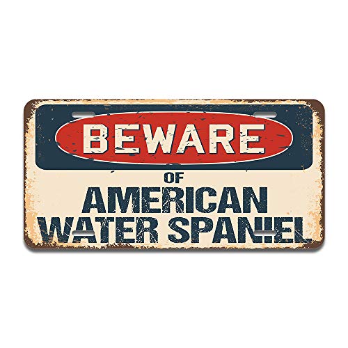 Beware of American Water Spaniel