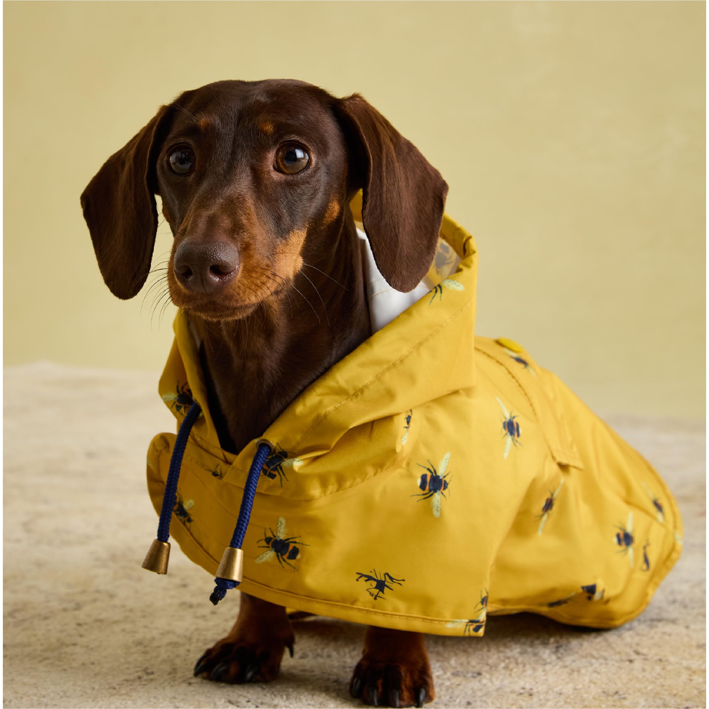 Rosewood x Joules Go Lightly Yellow Bee Print Packable Dog Jacket - Small Size, Washable, Lightweight & Water-Resistant Coat for Small Dogs - Perfect for Outdoor Walks, Park Visits & Travel Adventures