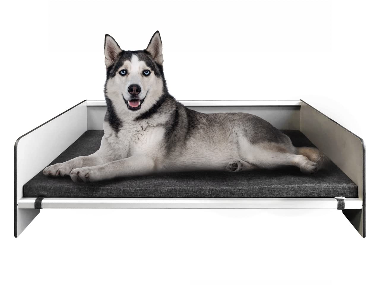 Waterproof Contemporary Comfort Dog Bed with Backrest - Orthopedic Pet Bed for Dogs & Cats, Compact Laminate & Aluminum Frame, Dark Grey Mattress - Perfect for Indoor Use, Living Room, Bedroom, or Pet-Friendly Spaces