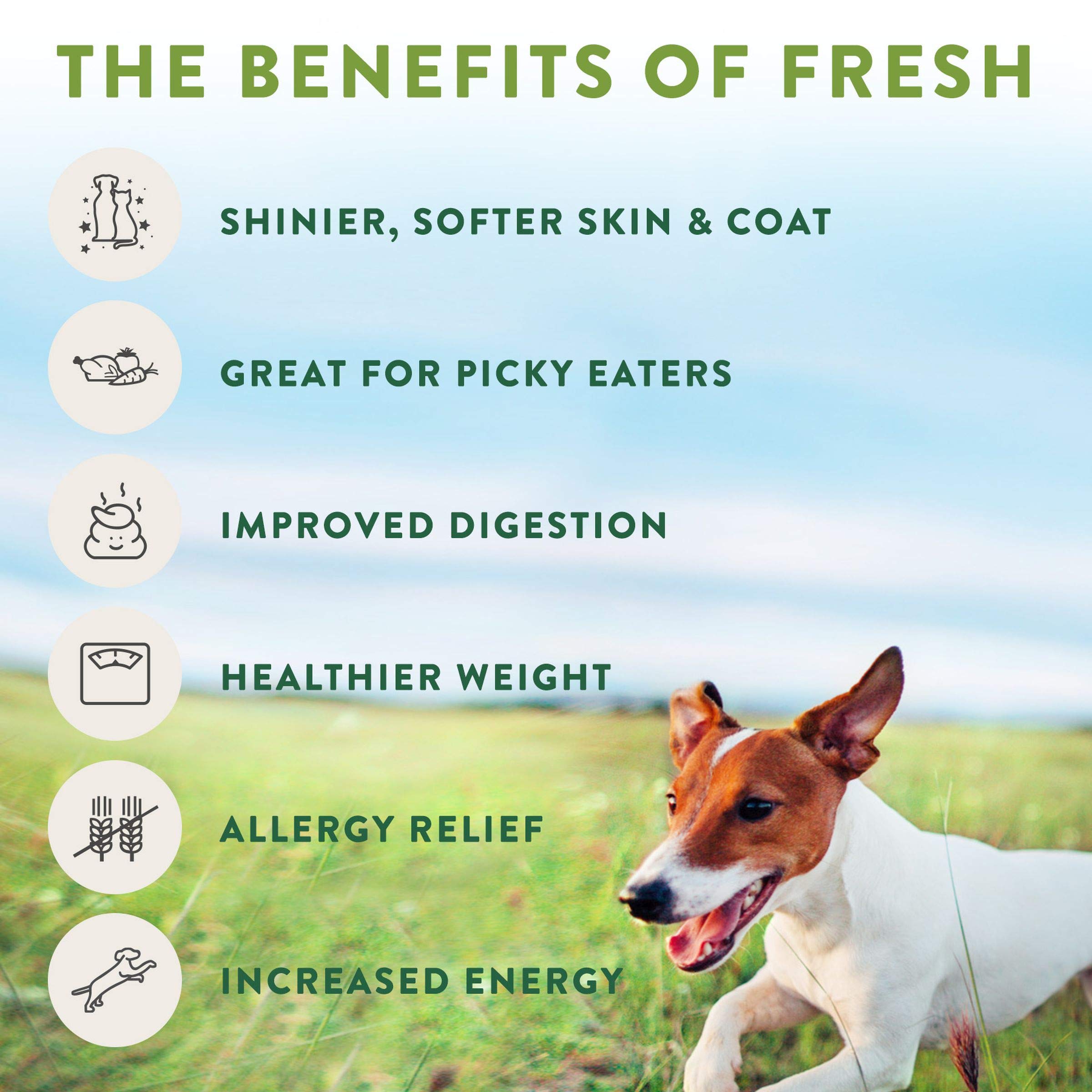 Freshpet Dog Joy Treats - Natural Wood Smoked Turkey Bacon Dog Treats, 3 Oz - Healthy Snacks for Training & Rewarding Your Pet