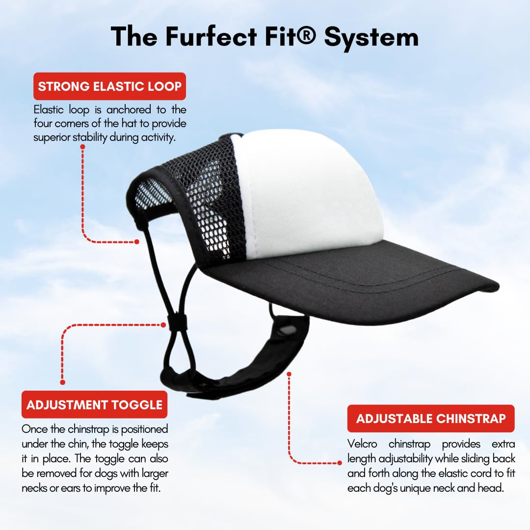 PupLid Trucker Hats for Dogs - Small Adjustable Dog Sun Hat with UV Protection | Stylish & Comfortable Fit for Active Pets | Perfect for Beach, Hiking & Outdoor Adventures (Black Surfer Dog Design)