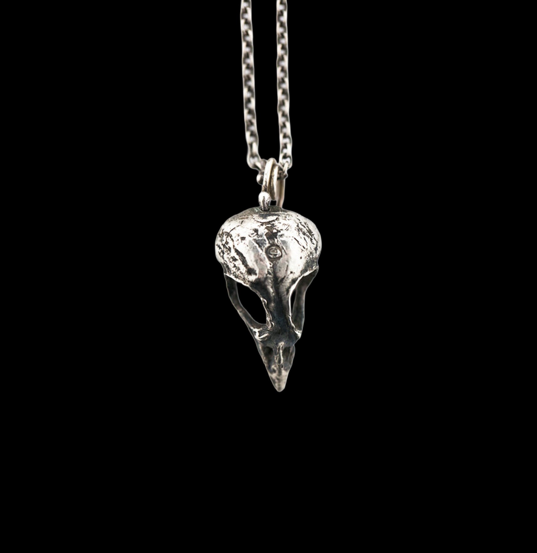 Small Bird Skull Pendant Necklace - Gothic Jewelry for Women - Handmade Bone Charm for Boho Style, Halloween Costume & Witchy Aesthetic