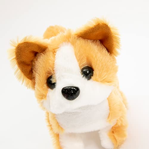 Shiba Inu